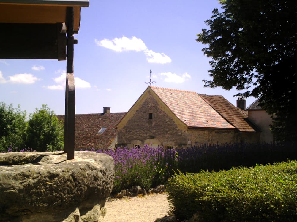 Trail de Mont-Saint-Jean - image