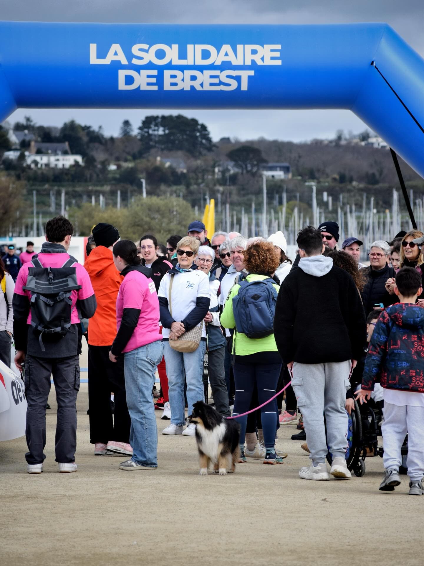 La solidaire de brest - image