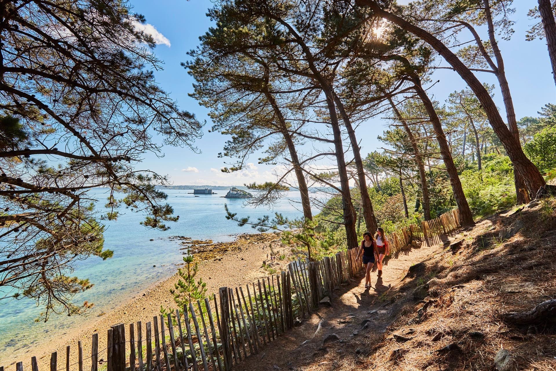 T24 Breizh - image