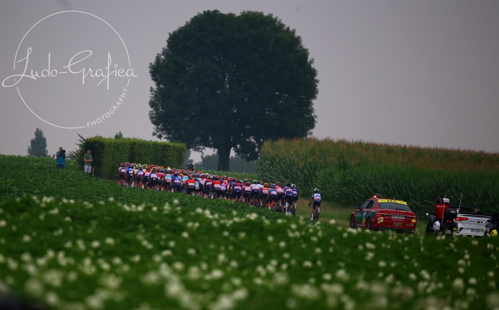 L’Étape du Tour de France Femmes avec Zwift - image