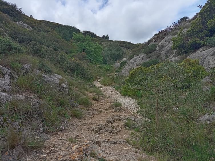 Les sentiers de la Campane - image