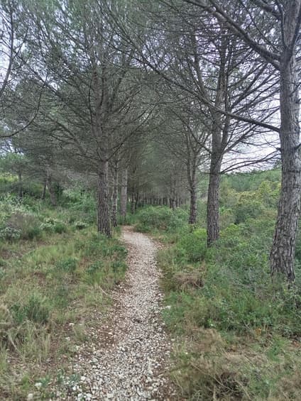Les sentiers de la Campane - image