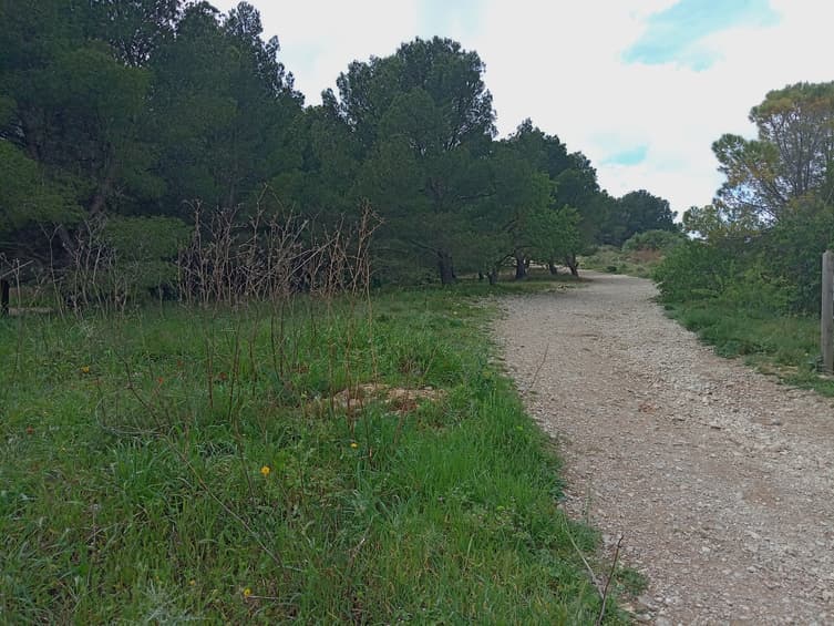 Les sentiers de la Campane - image