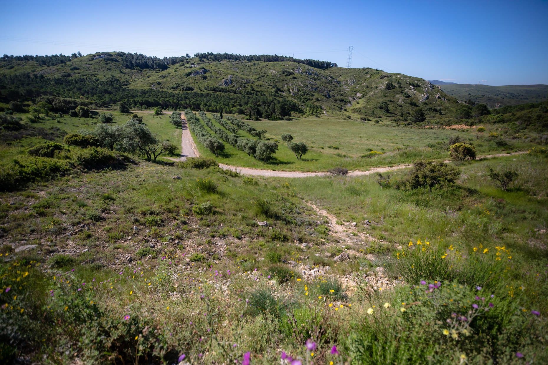 Les sentiers de la Campane - image
