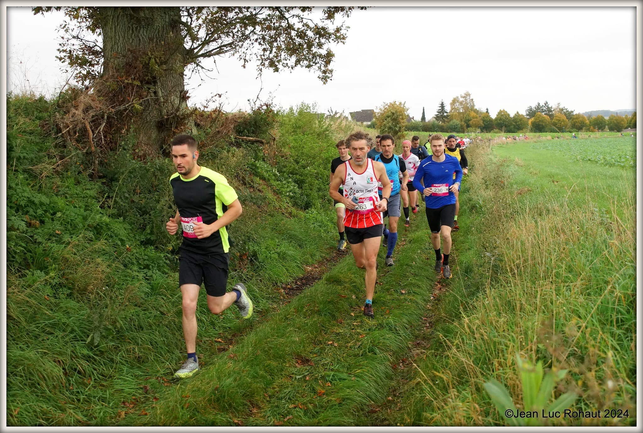 Trail des Crac's - image