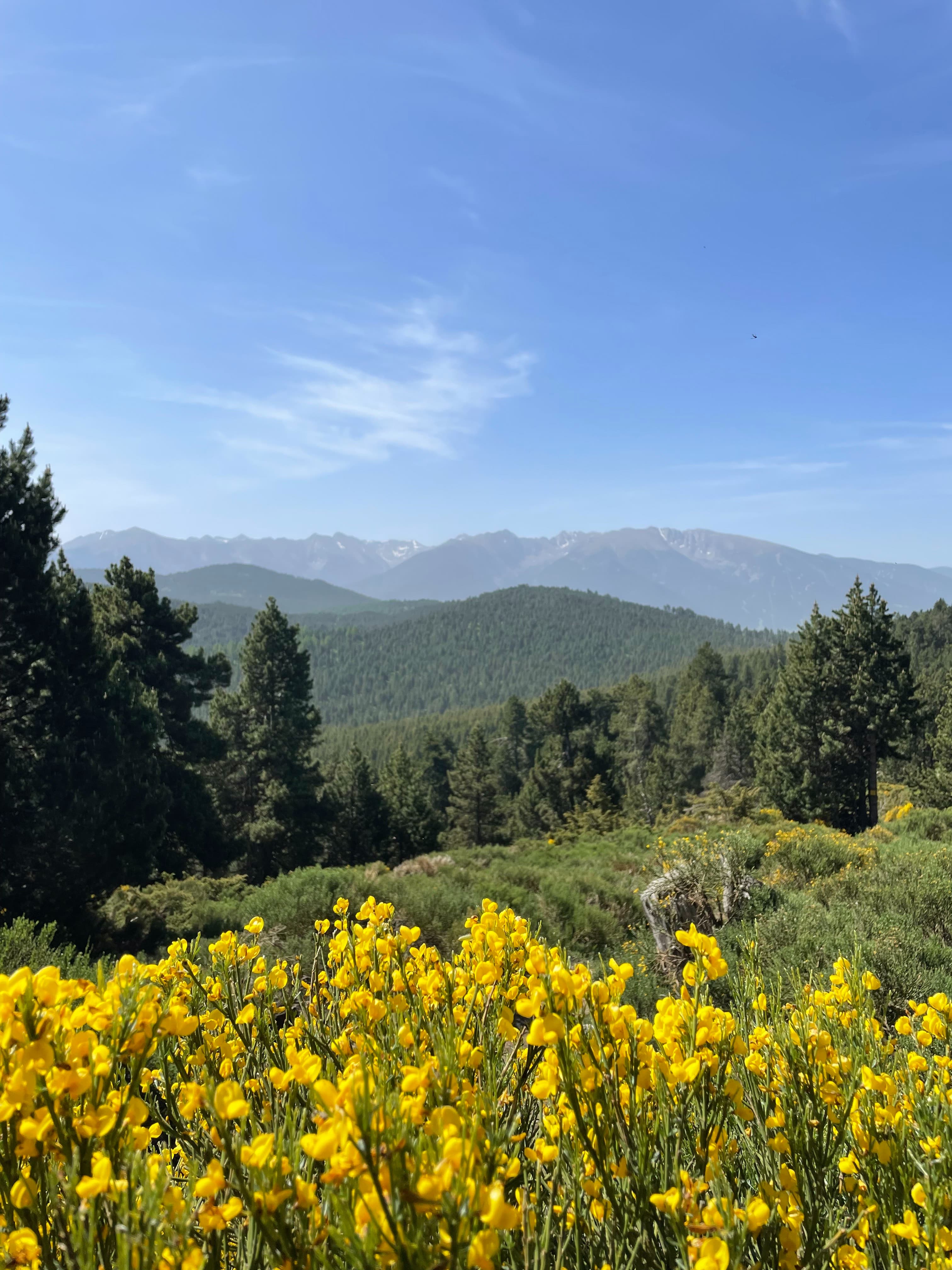Trail Du Col De La Llose - image