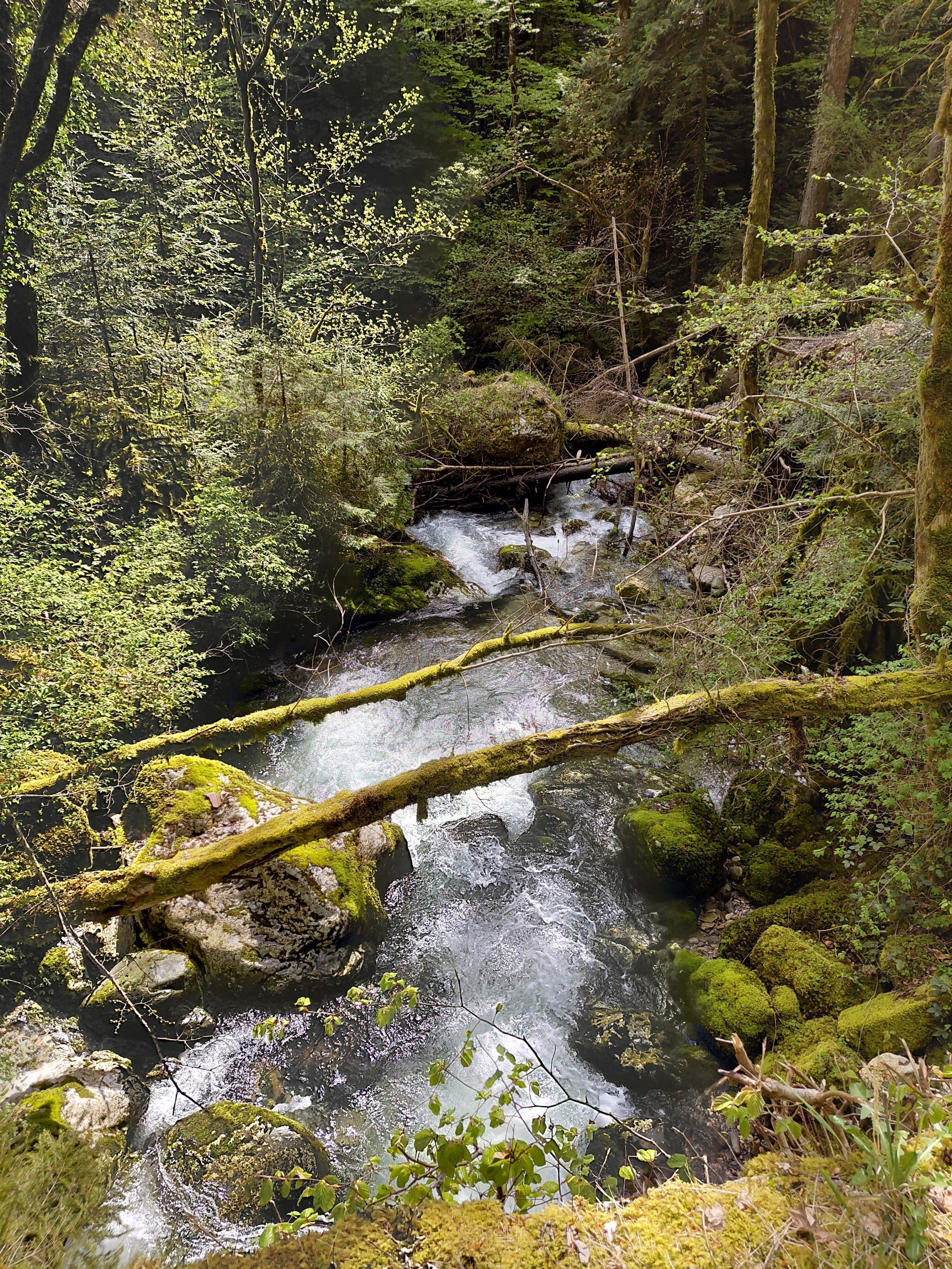 Barr’O Trail - image 5