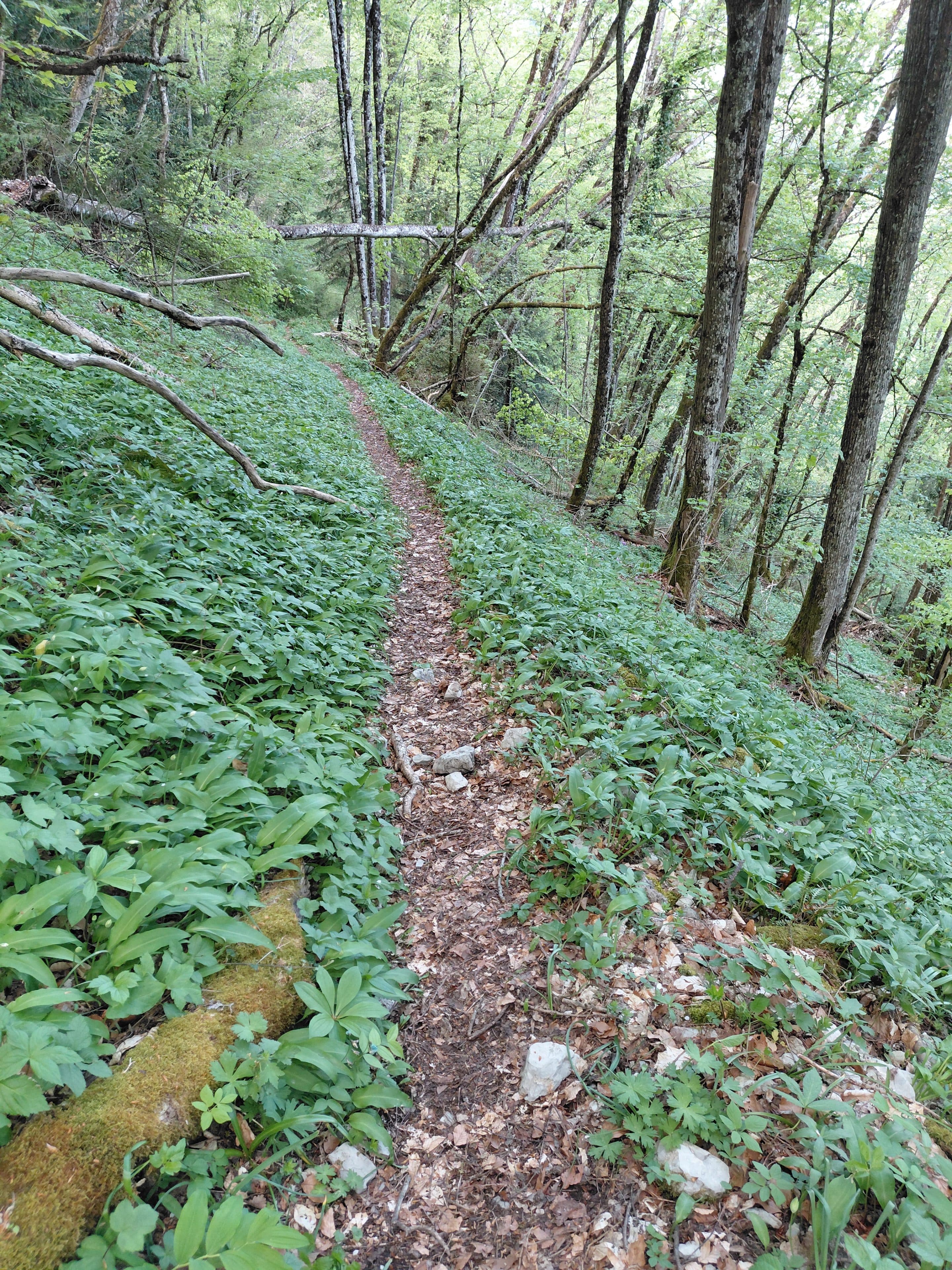 Barr’O Trail - image 5