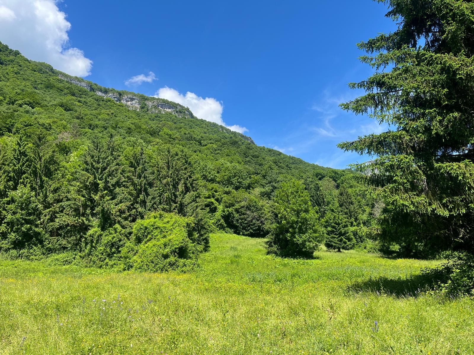 Barr’O Trail - image