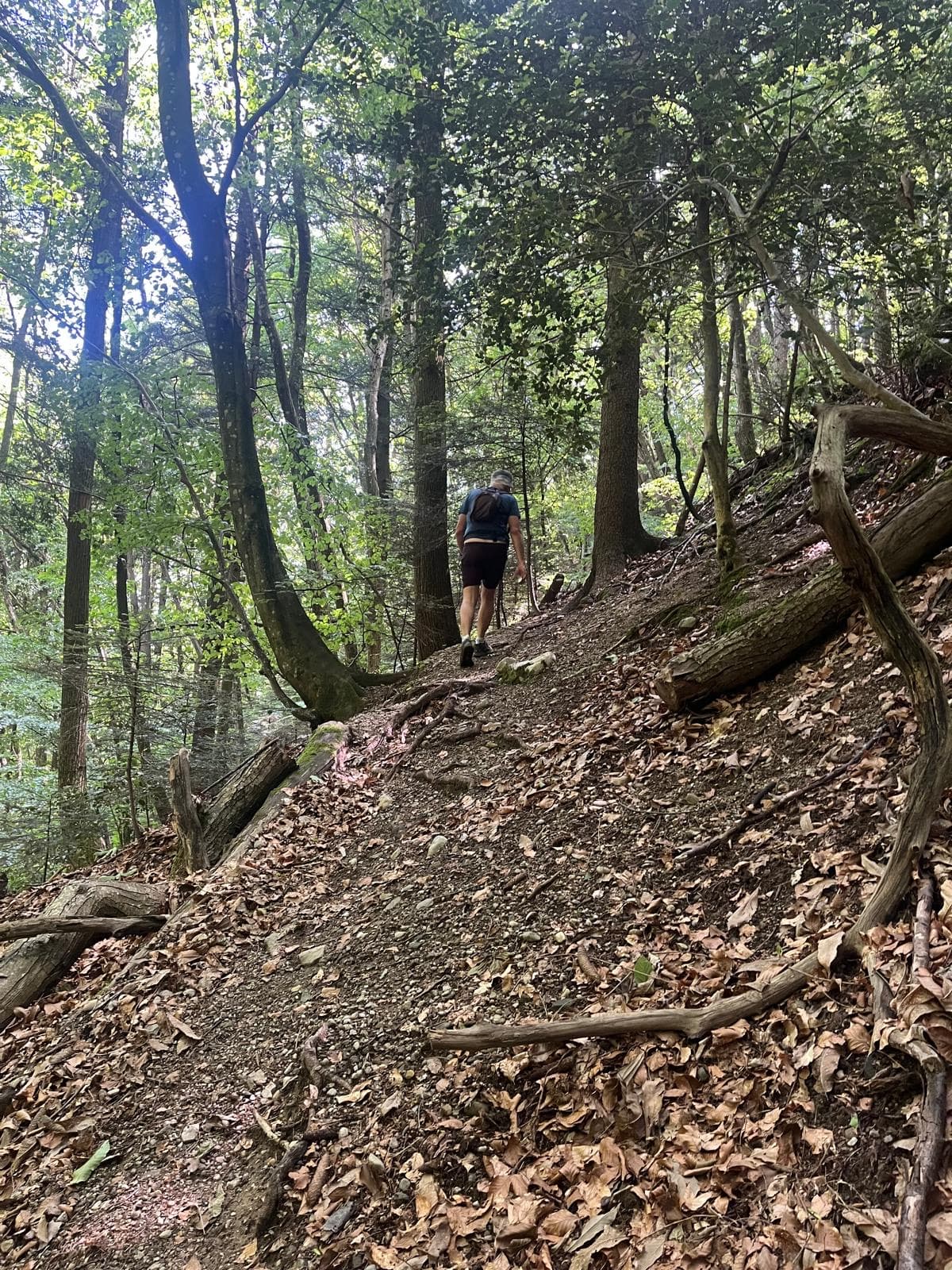 Barr’O Trail - image