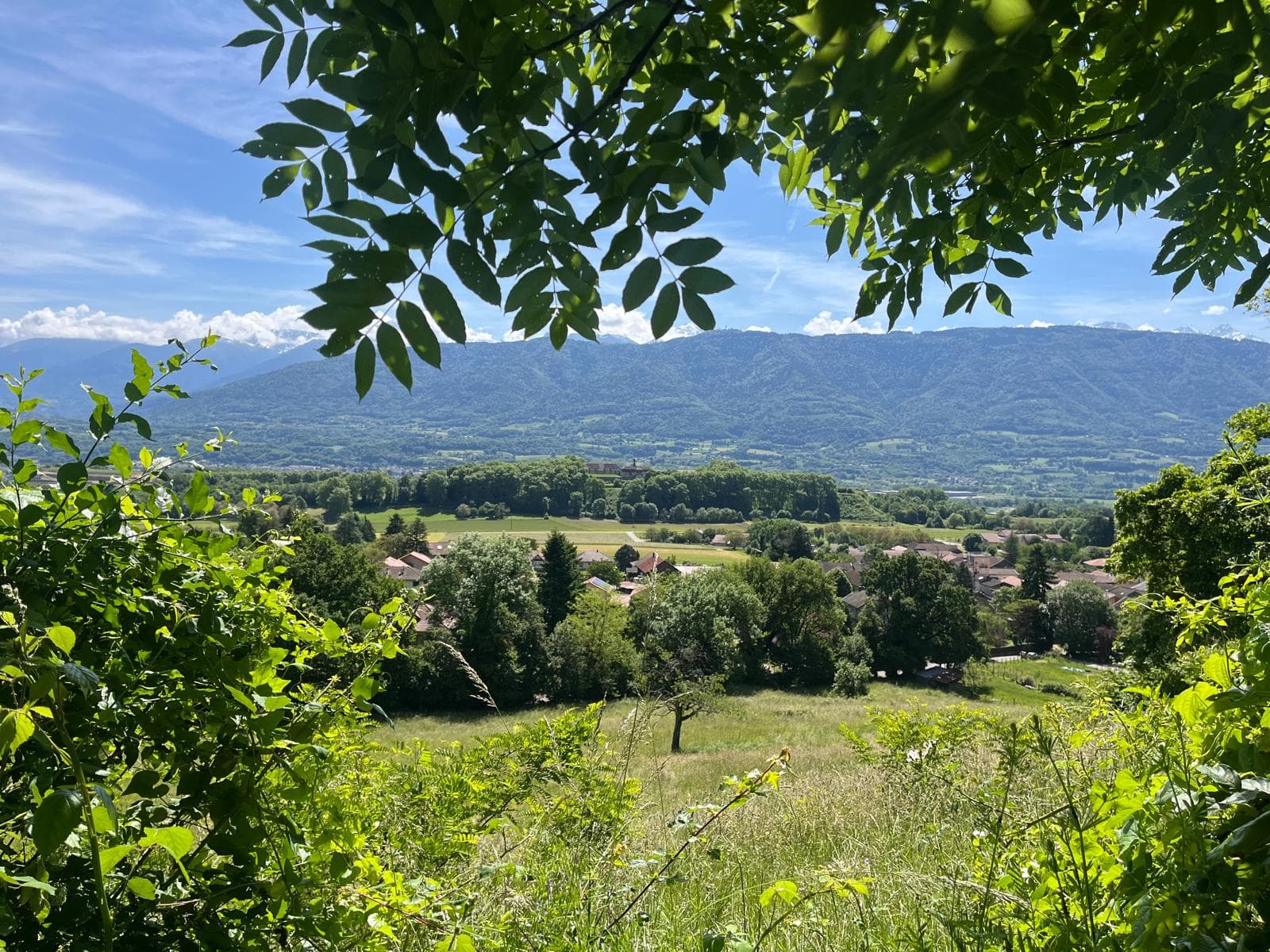 Barr’O Trail - image