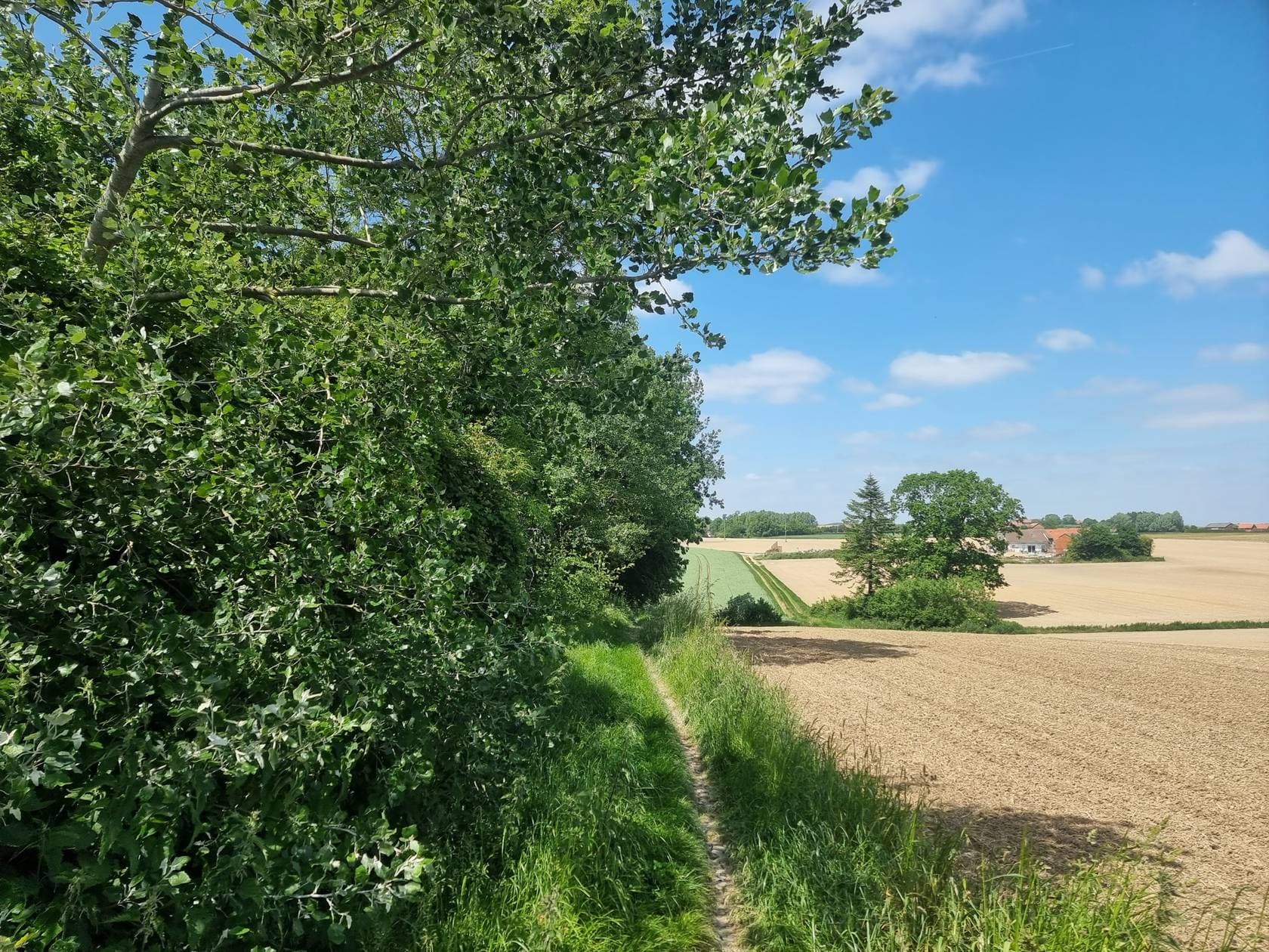 La belle évasion Flamande - image