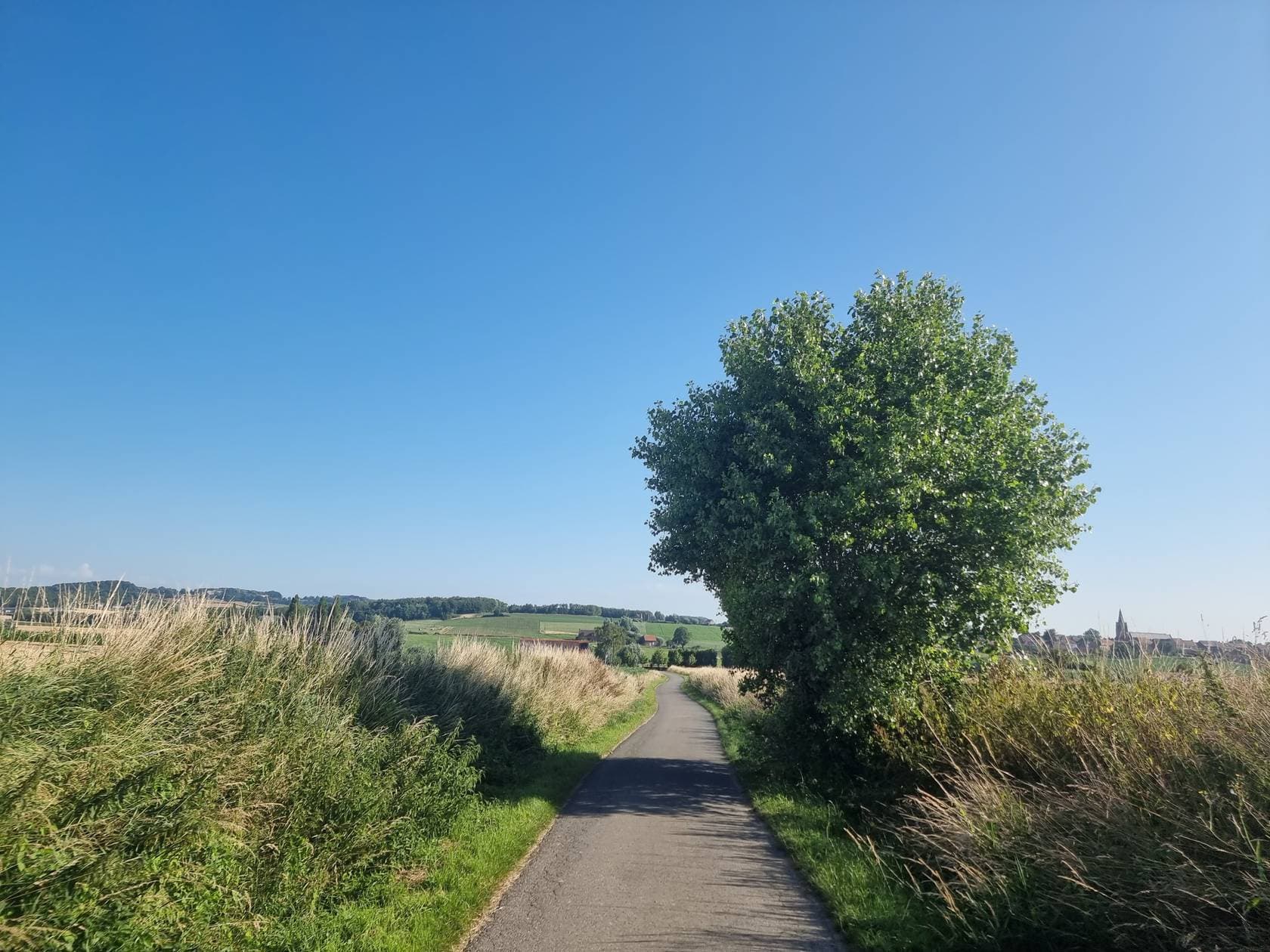 La belle évasion Flamande - image