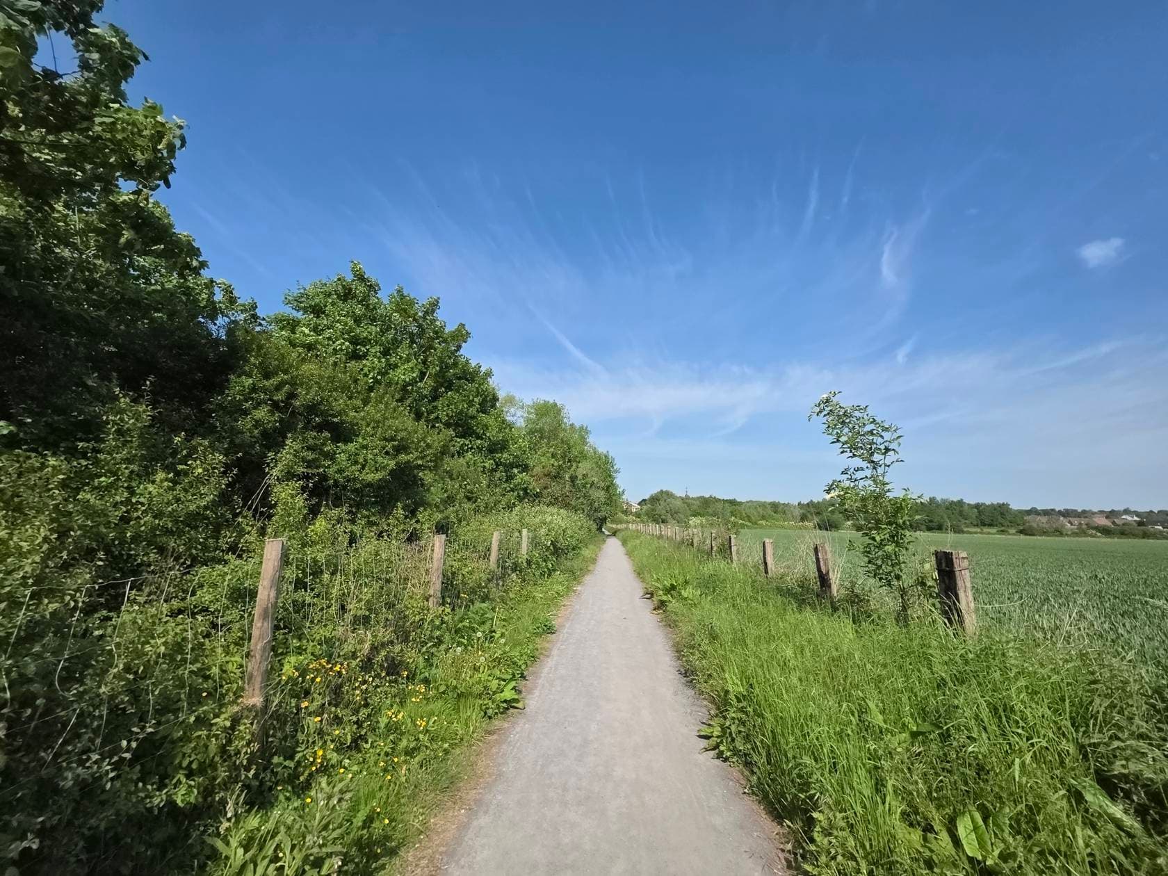 La belle évasion Flamande - image