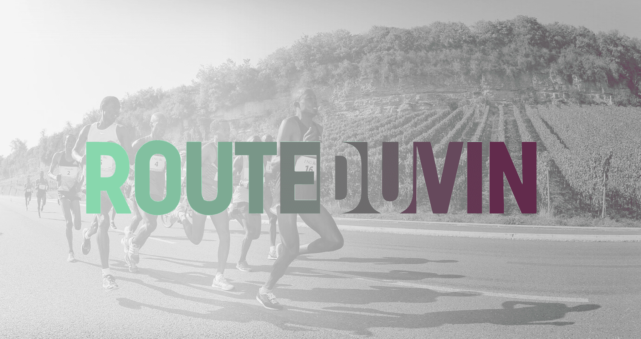 Route du vin - image