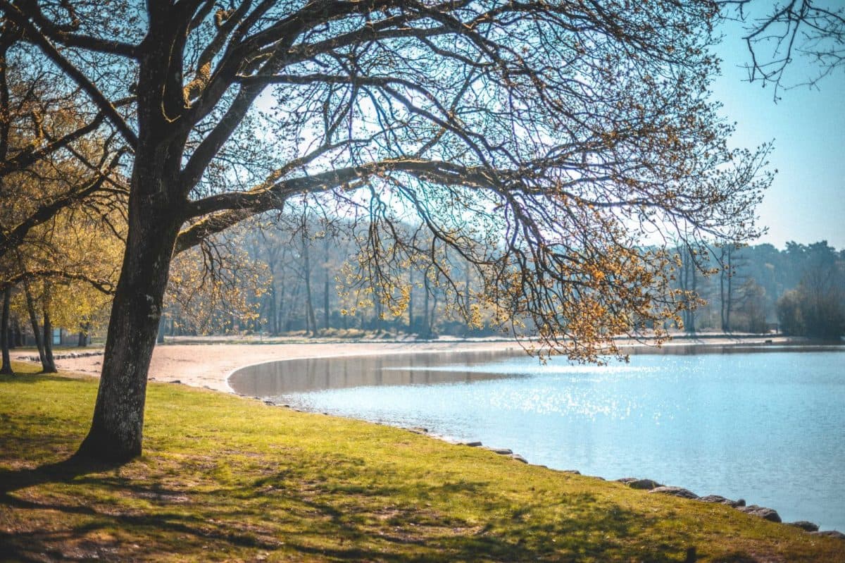 Le Trail du Lac de Sillé - image