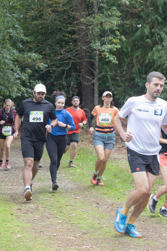 Grand Trail du Lac de Sillé - image