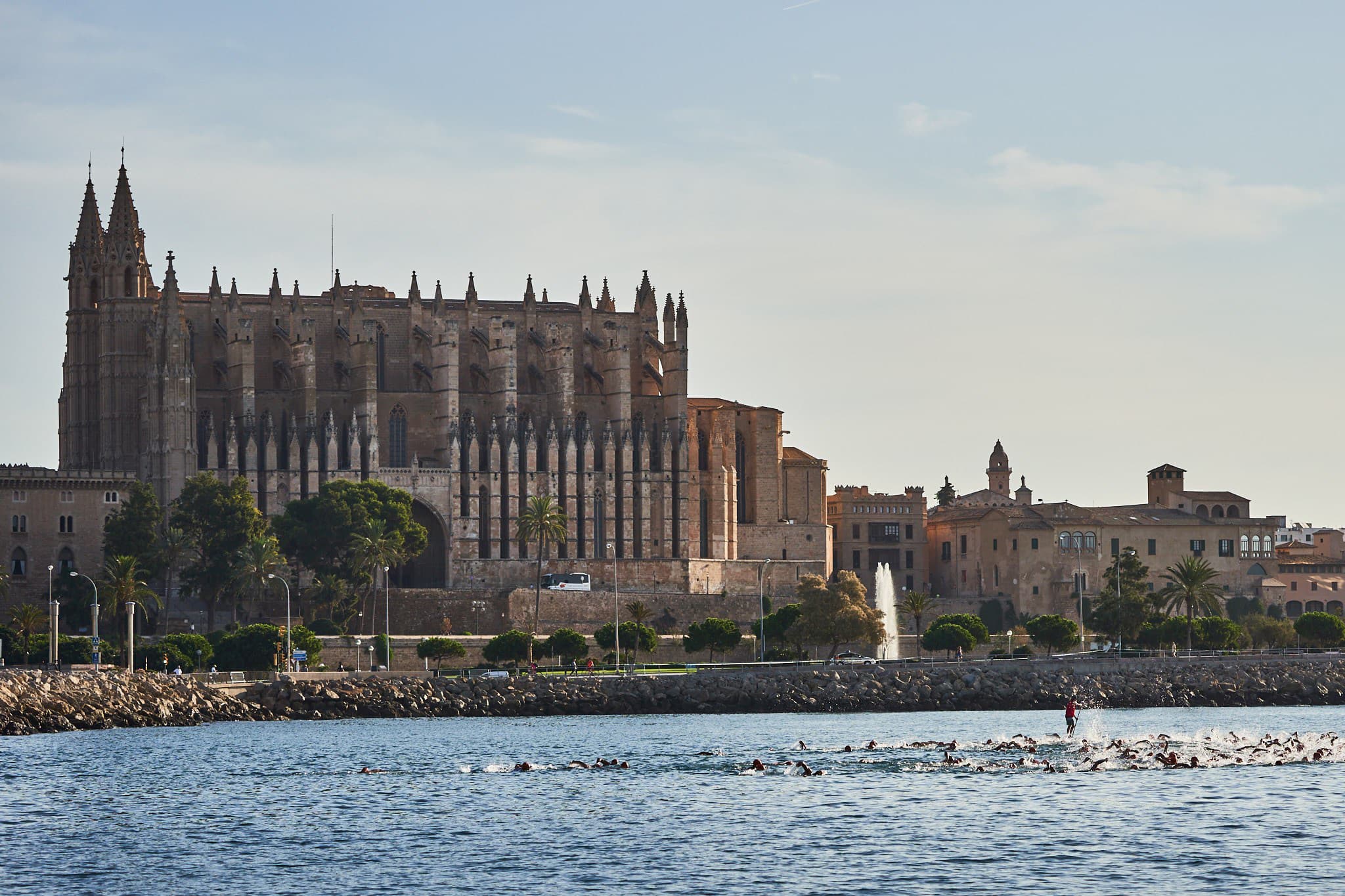 Stellantis & you Triathlon Port de Palma Mallorca - image