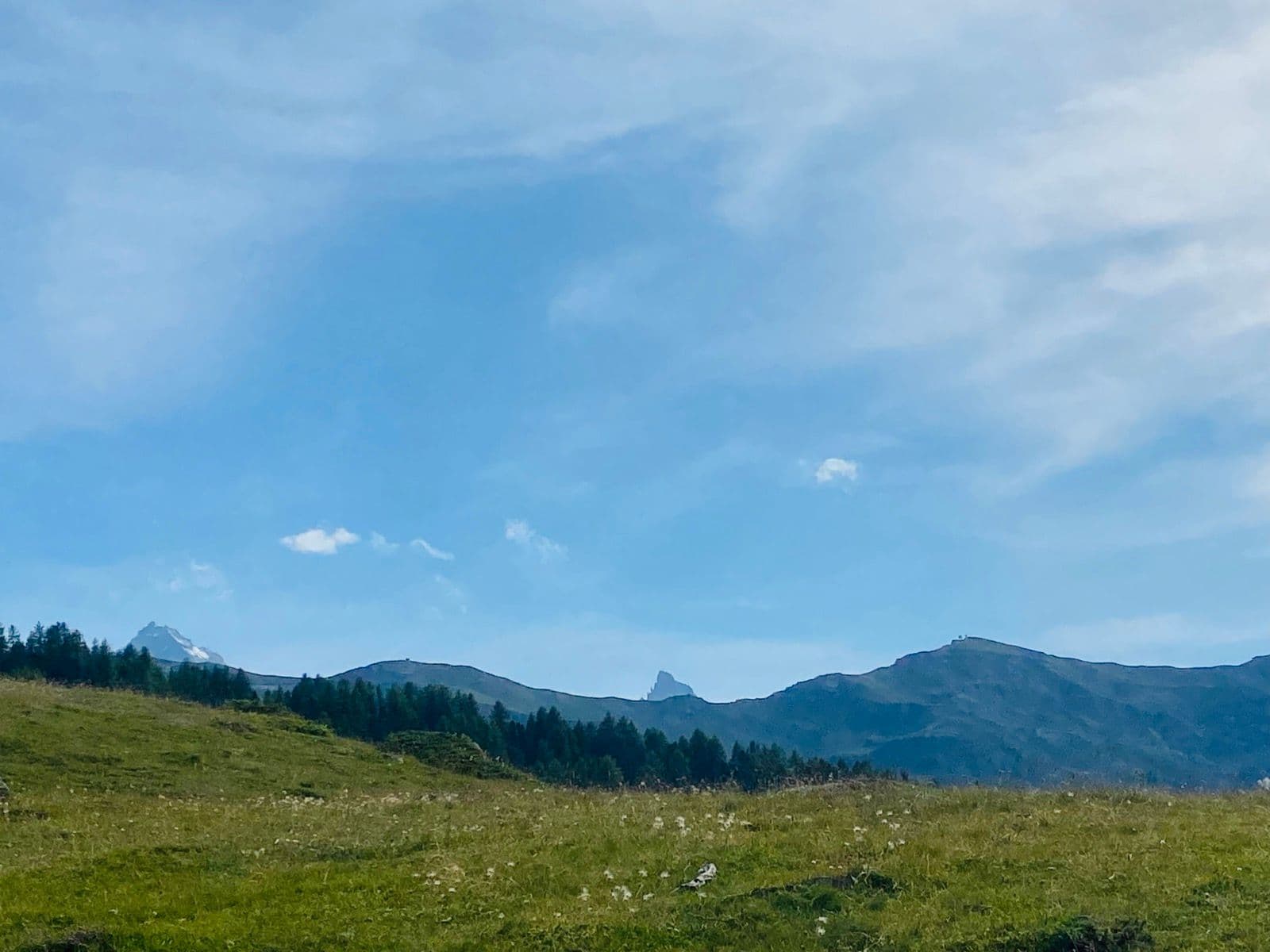 RunThrough Trails Pila - image