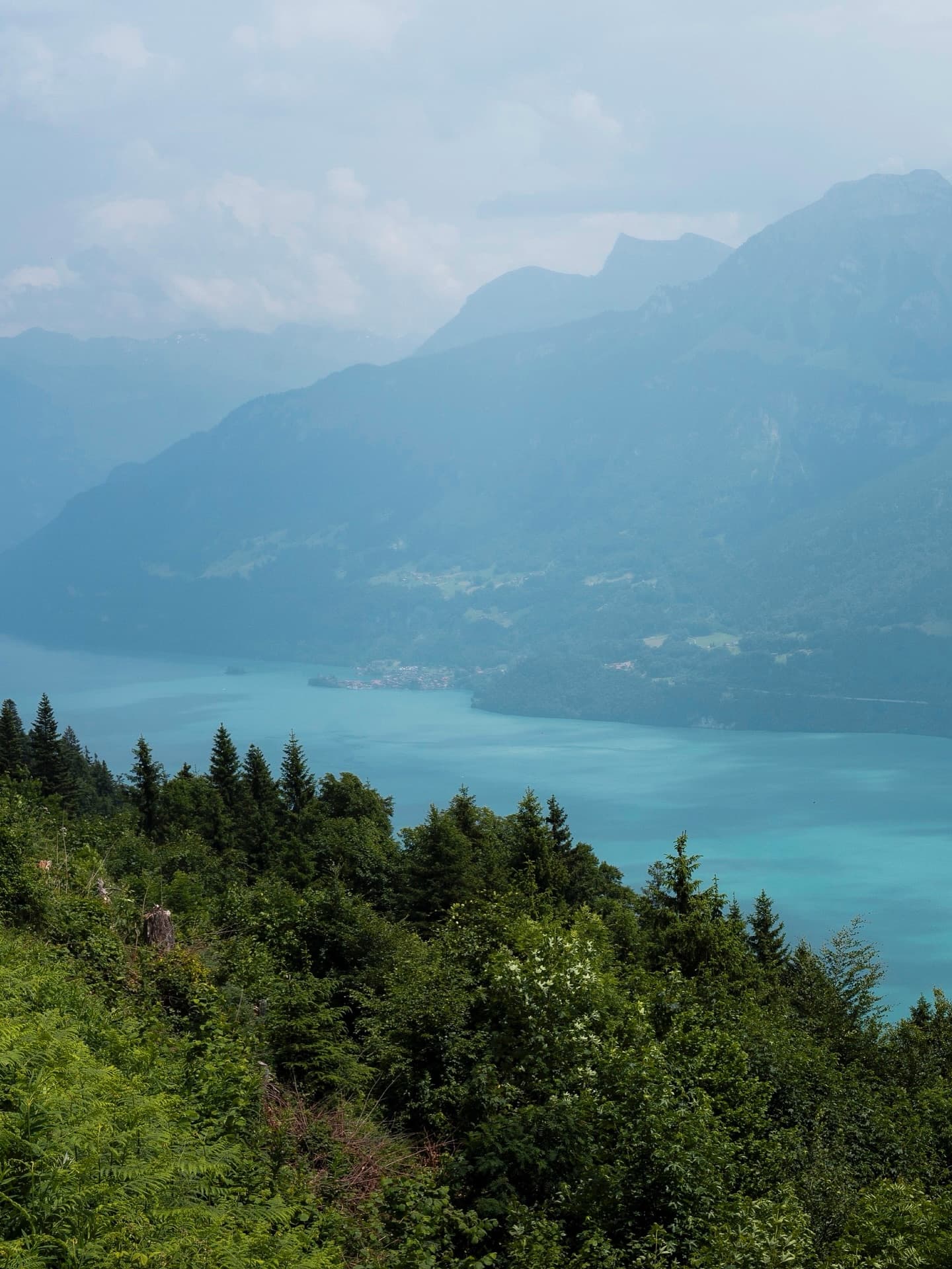 RunThrough Trails Engelberg - image