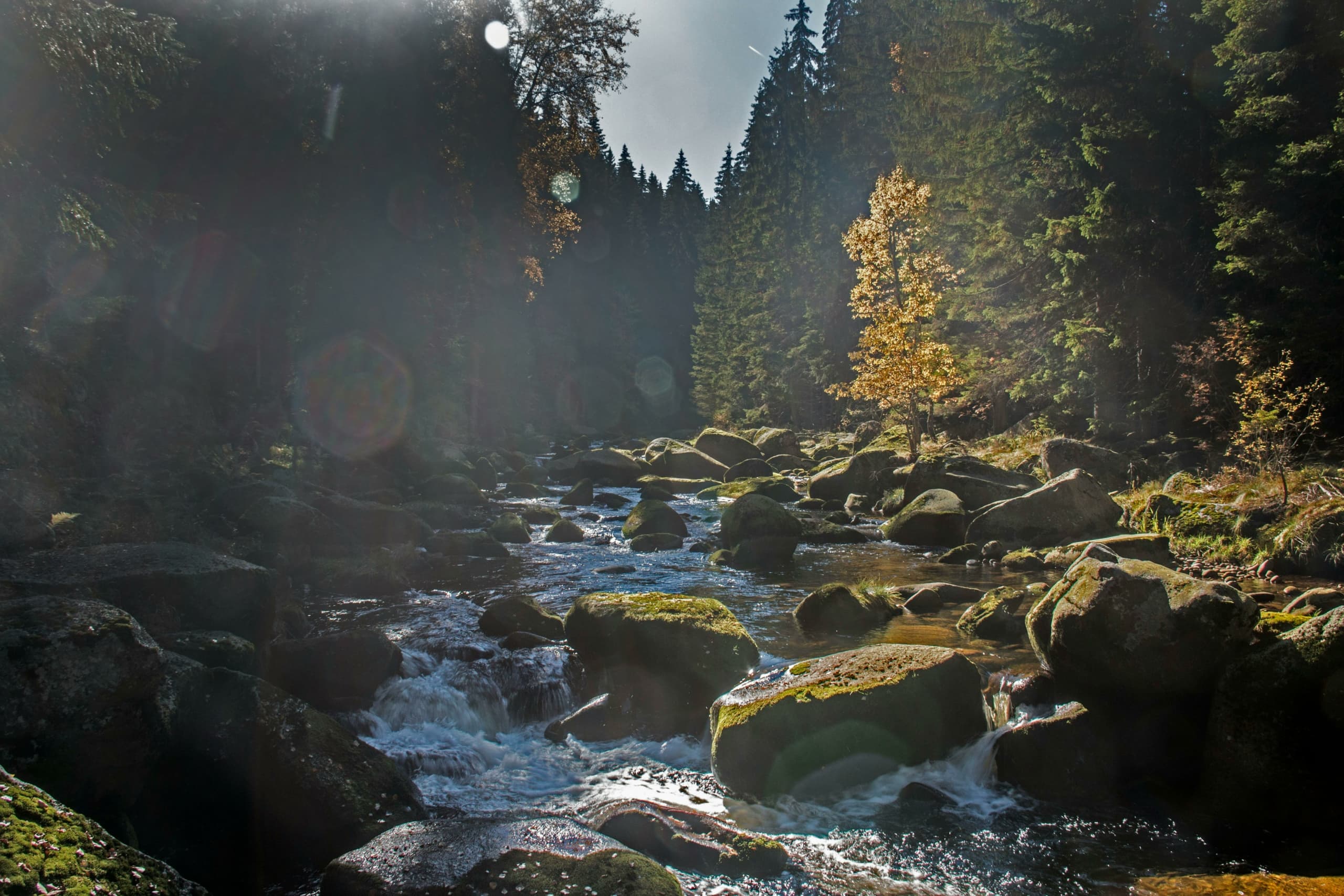 Traversée des monts des géants - image