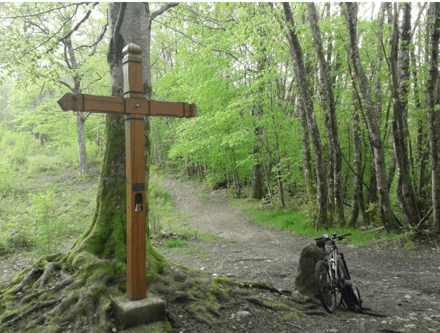 Trail des Violettes - image