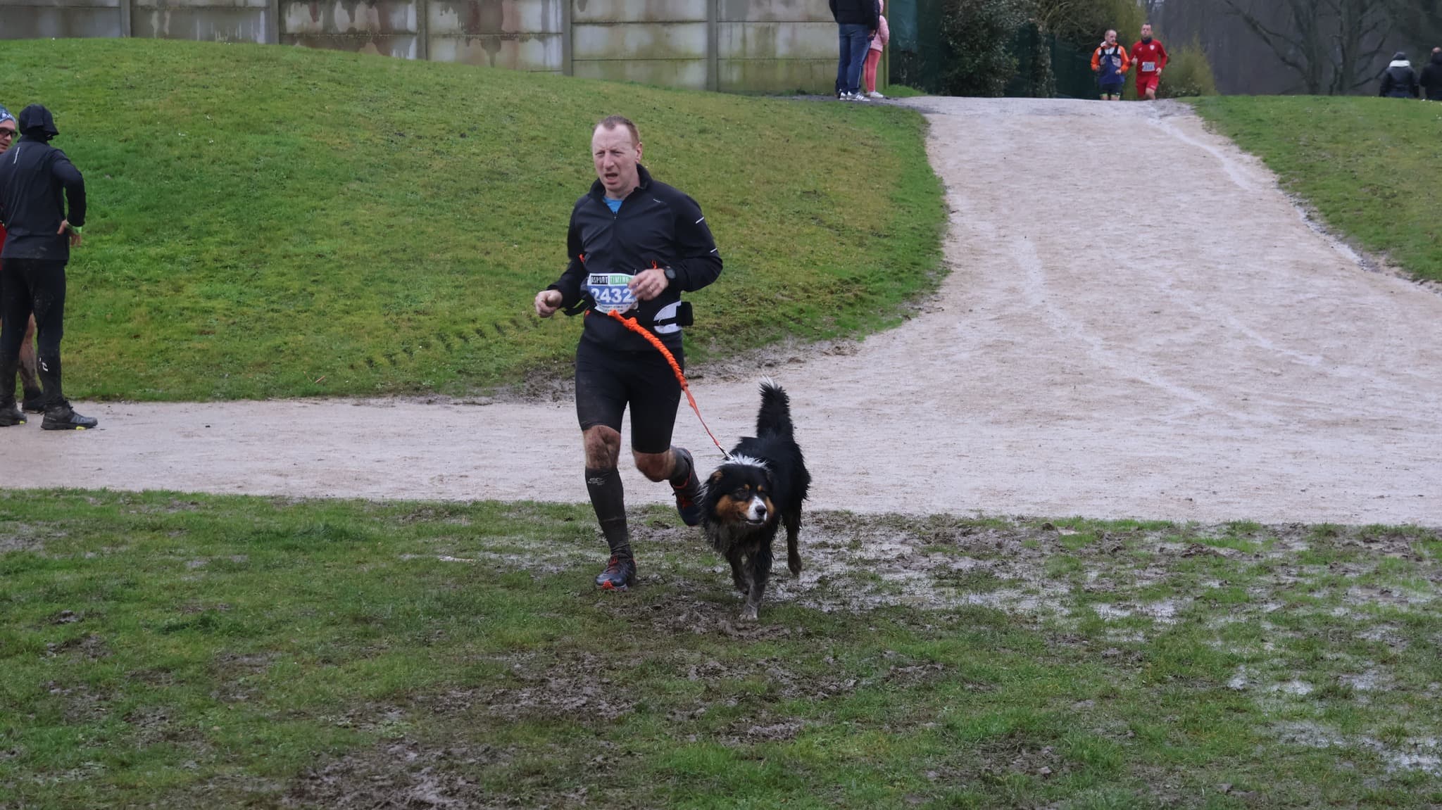 Le trail des lapins - image