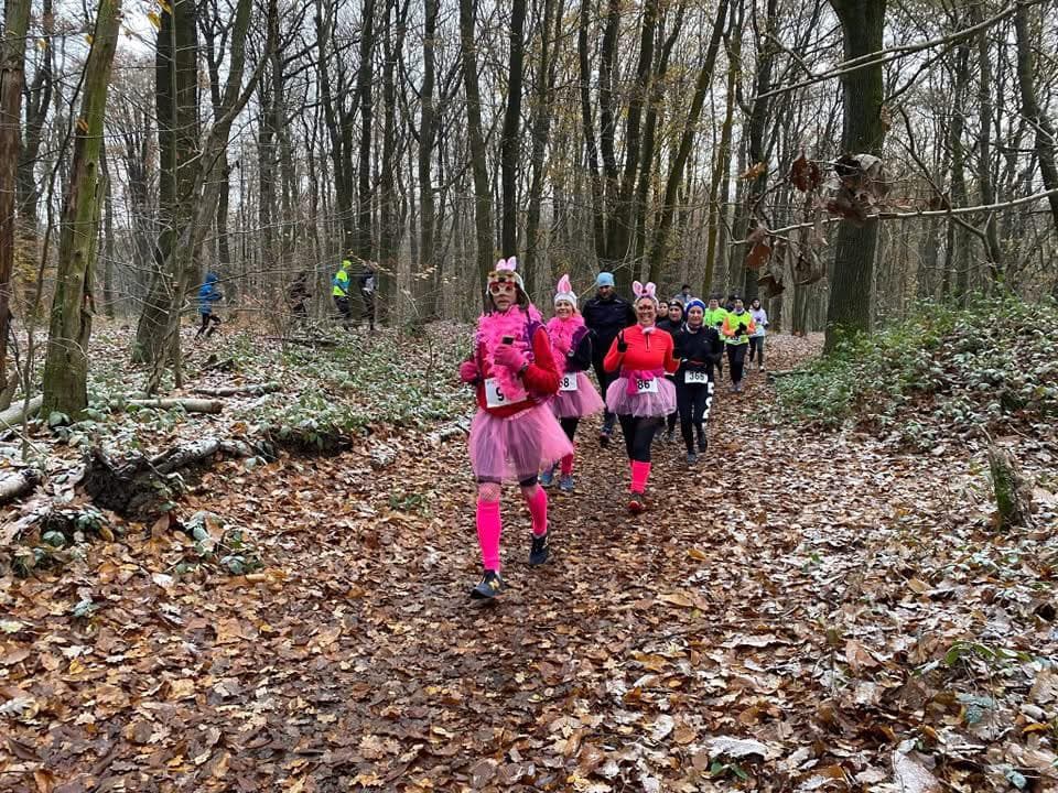 Le trail des lapins - image