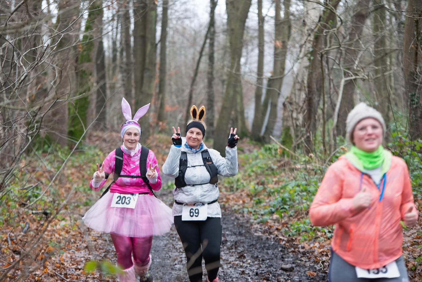 Le trail des lapins - image