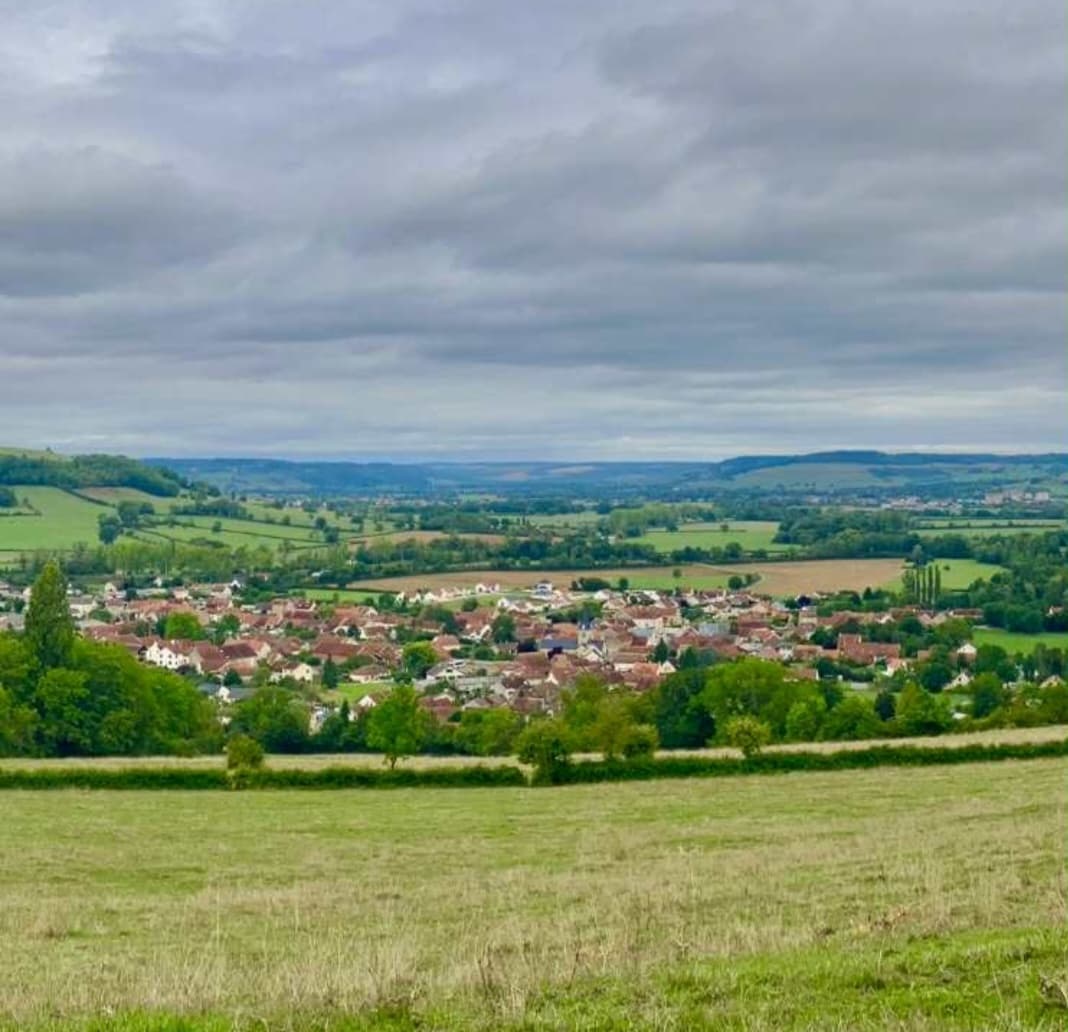 Trail Pouillenay en rose - image