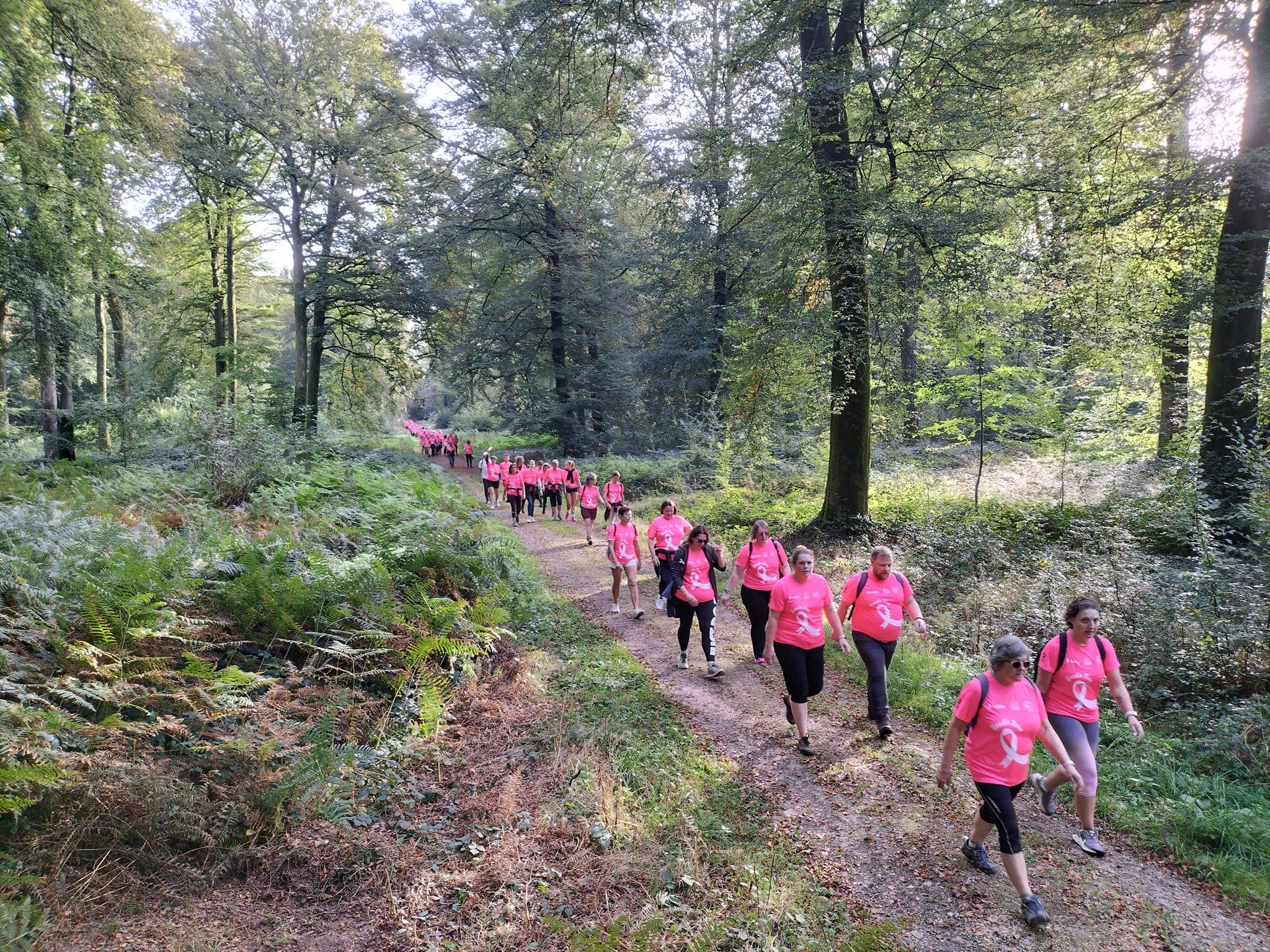 Hesdin Rose Solidaire - image