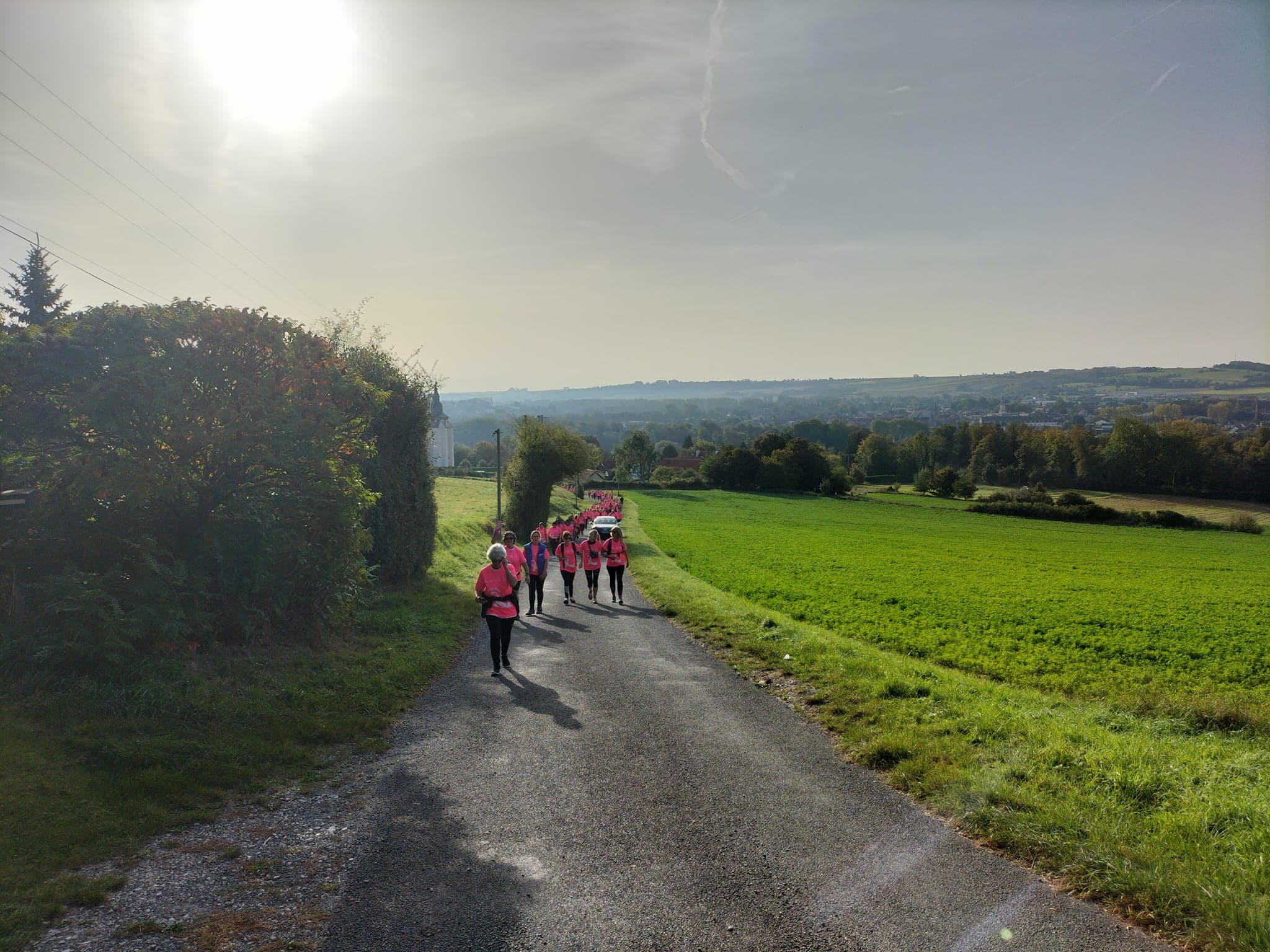 Hesdin Rose Solidaire - image