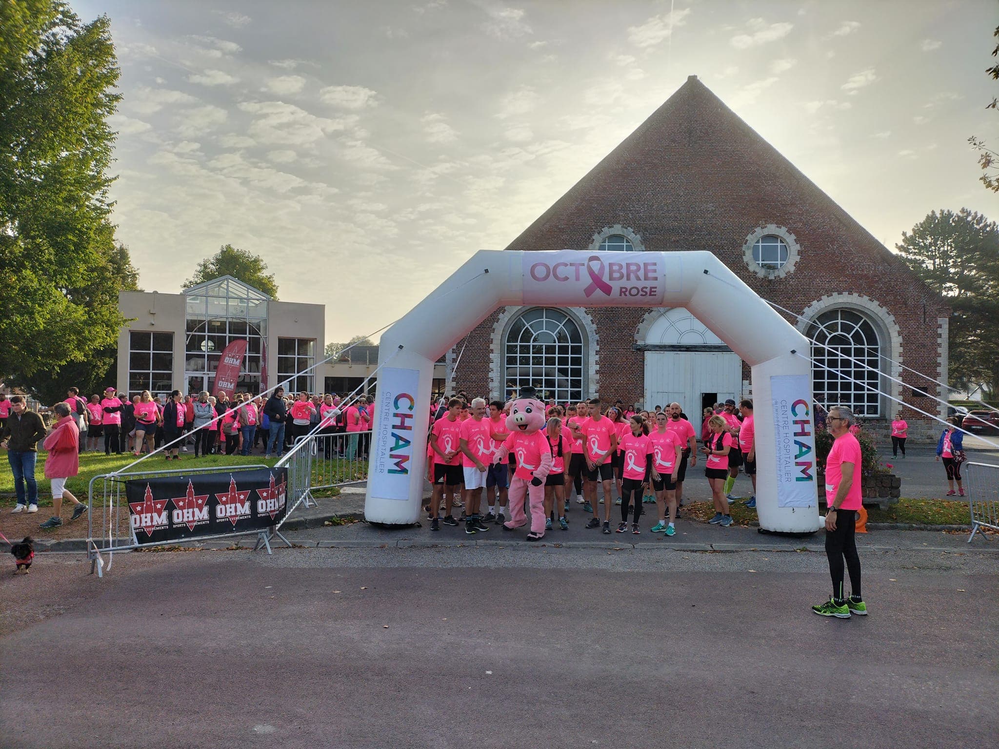 Hesdin Rose Solidaire - image