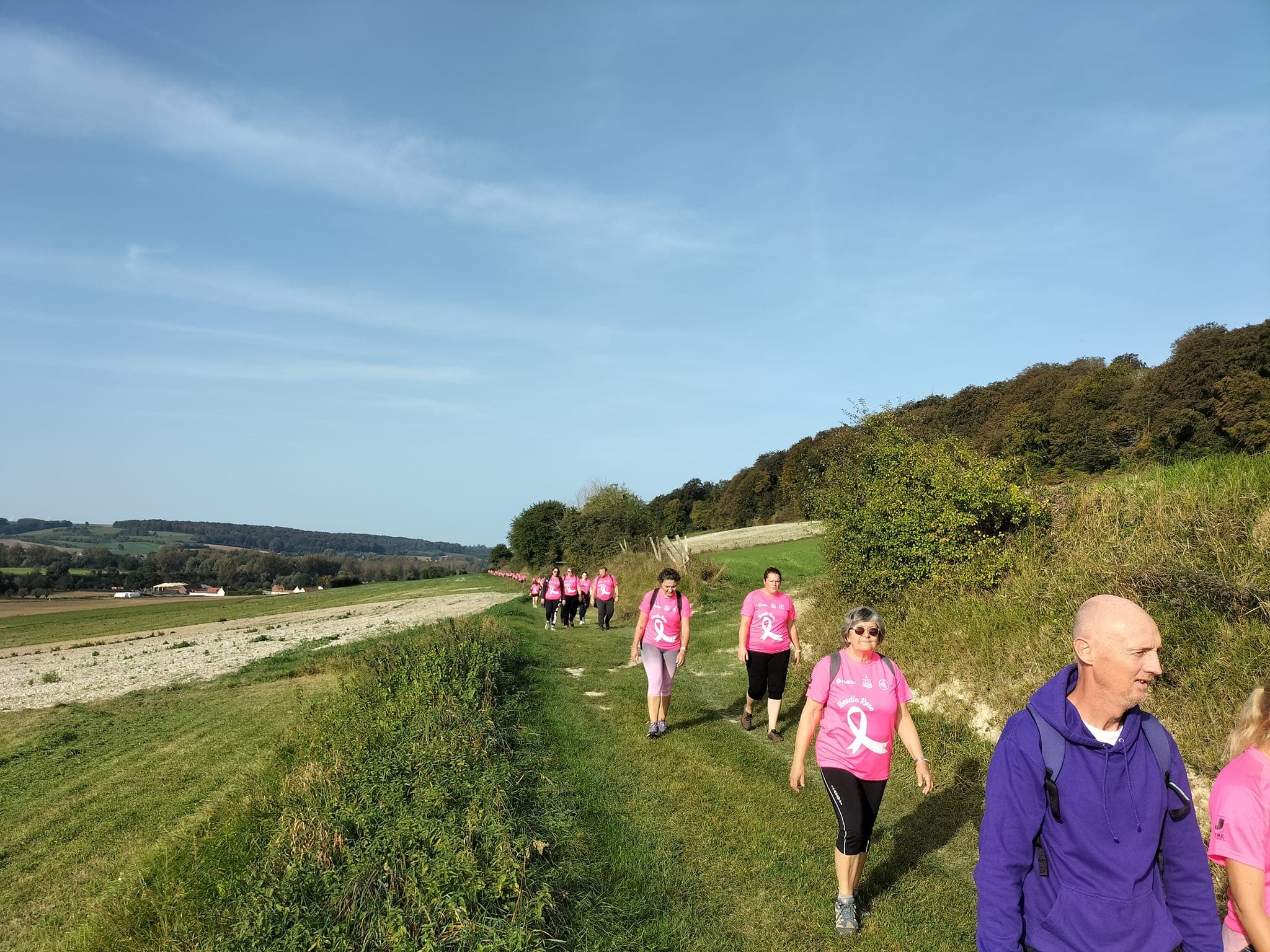 Hesdin Rose Solidaire - image