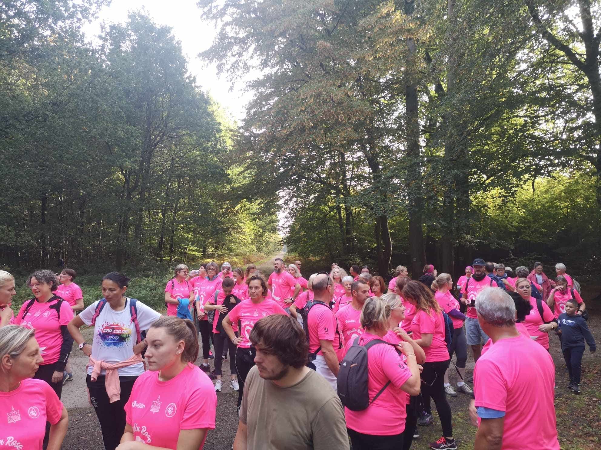 Hesdin Rose Solidaire - image