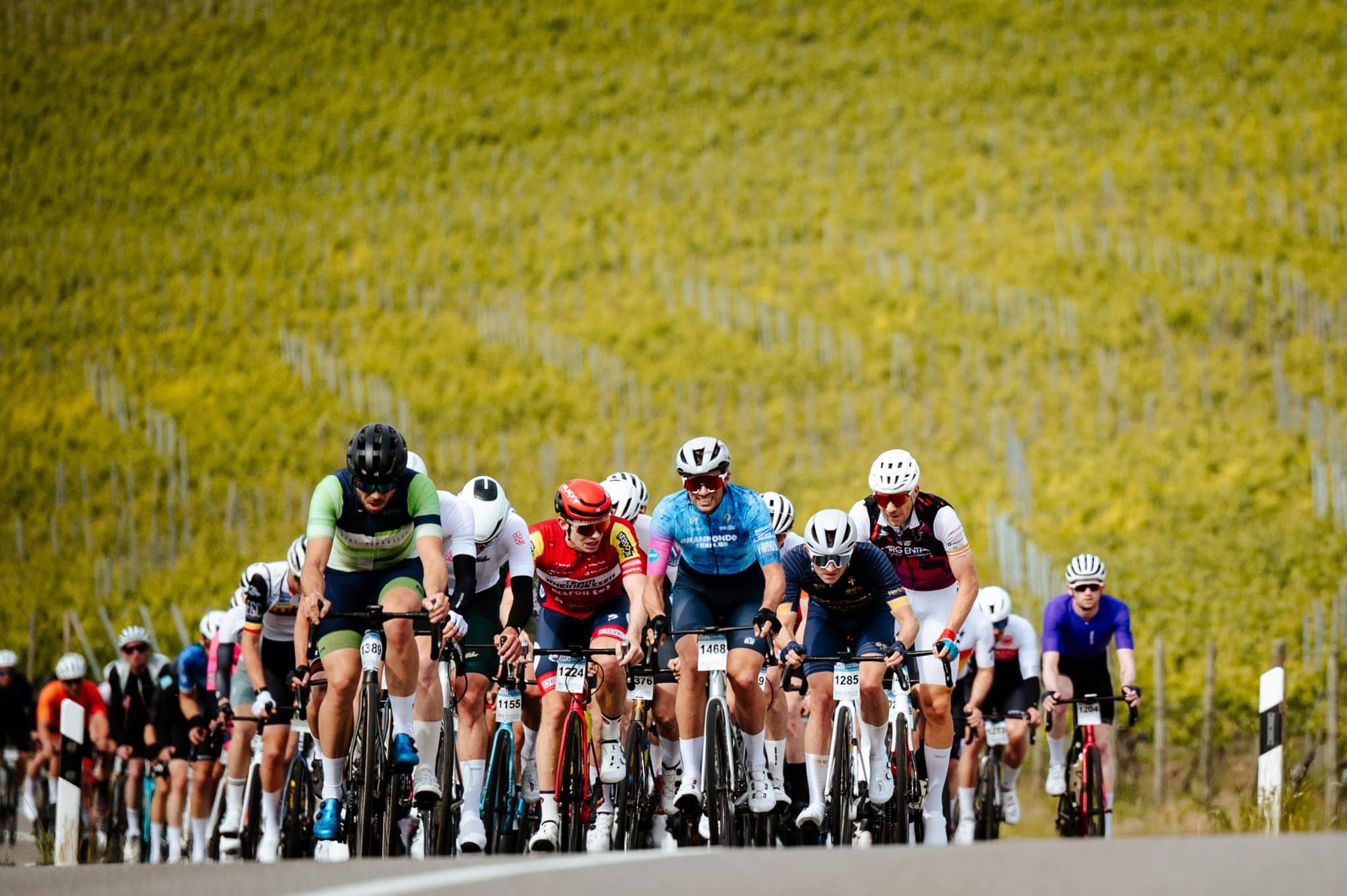 Schleck Gran Fondo - Schleck X-perience - image