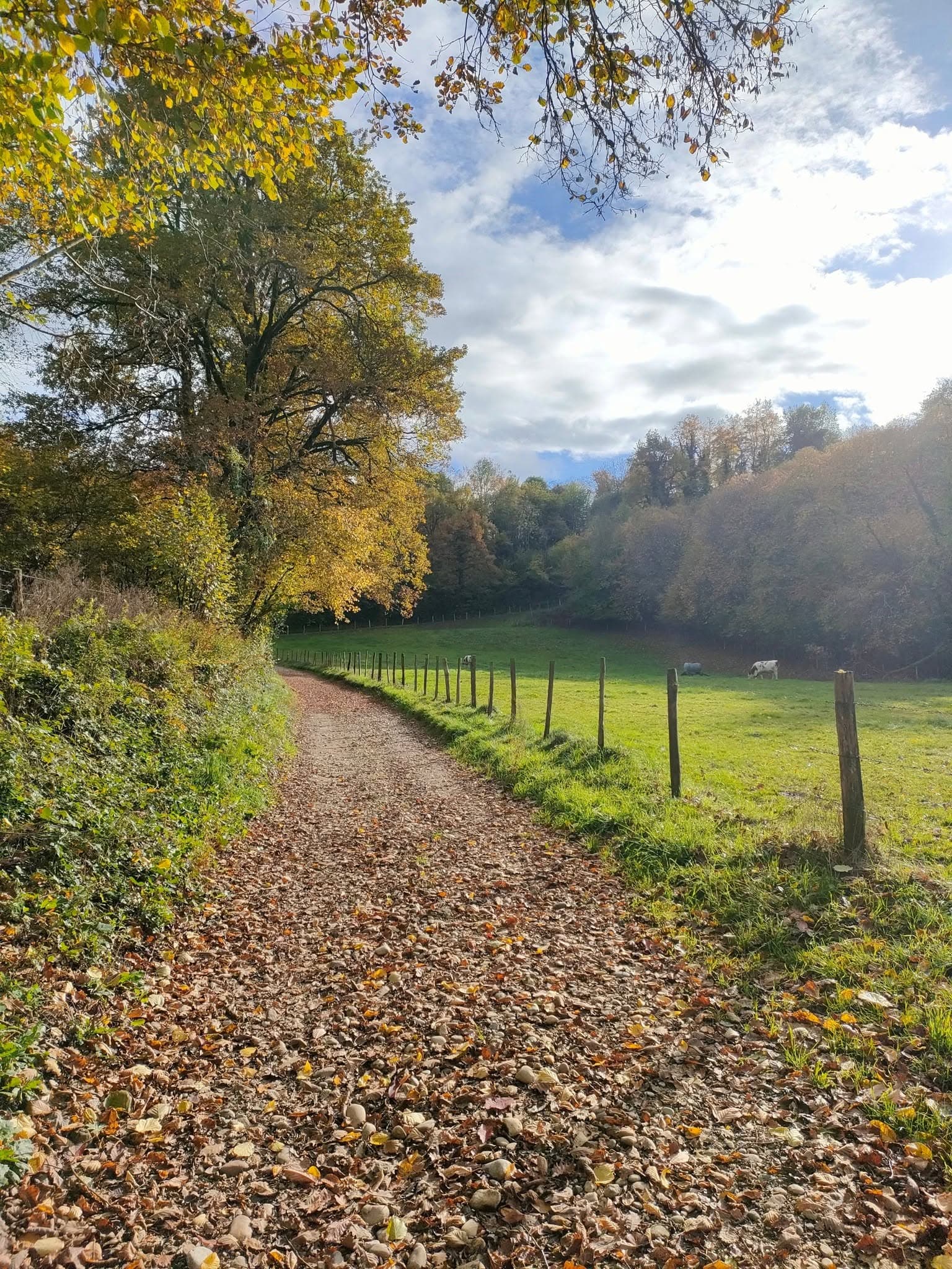 La Run Givrée - image 5