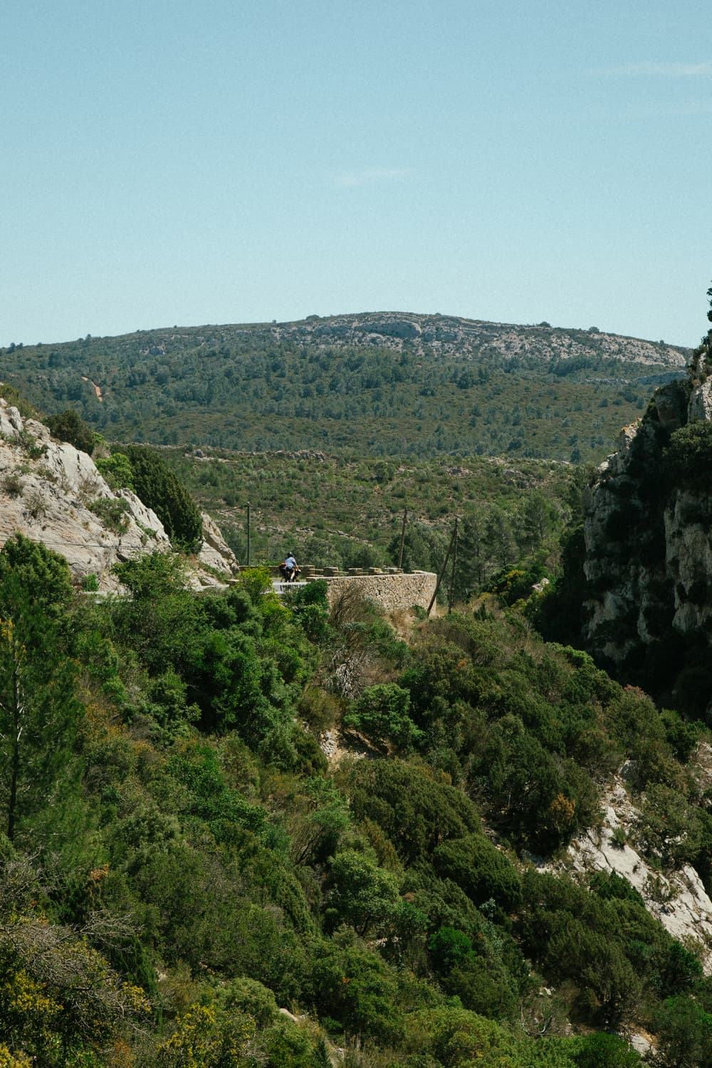 Tiramisu Express - image