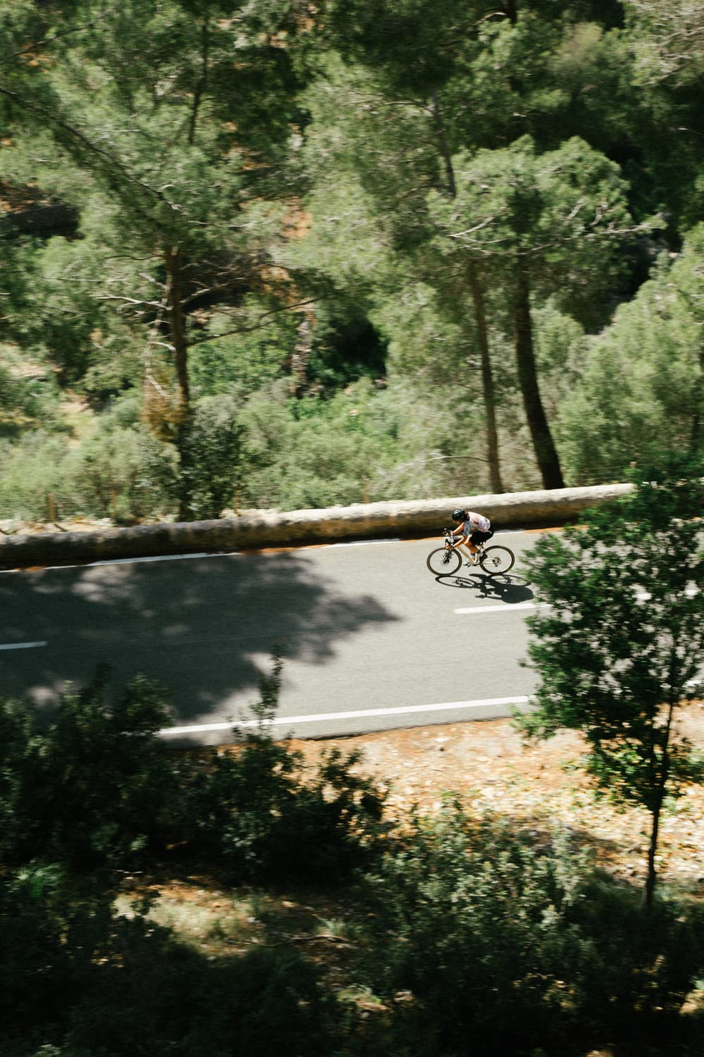 Tiramisu Express - image