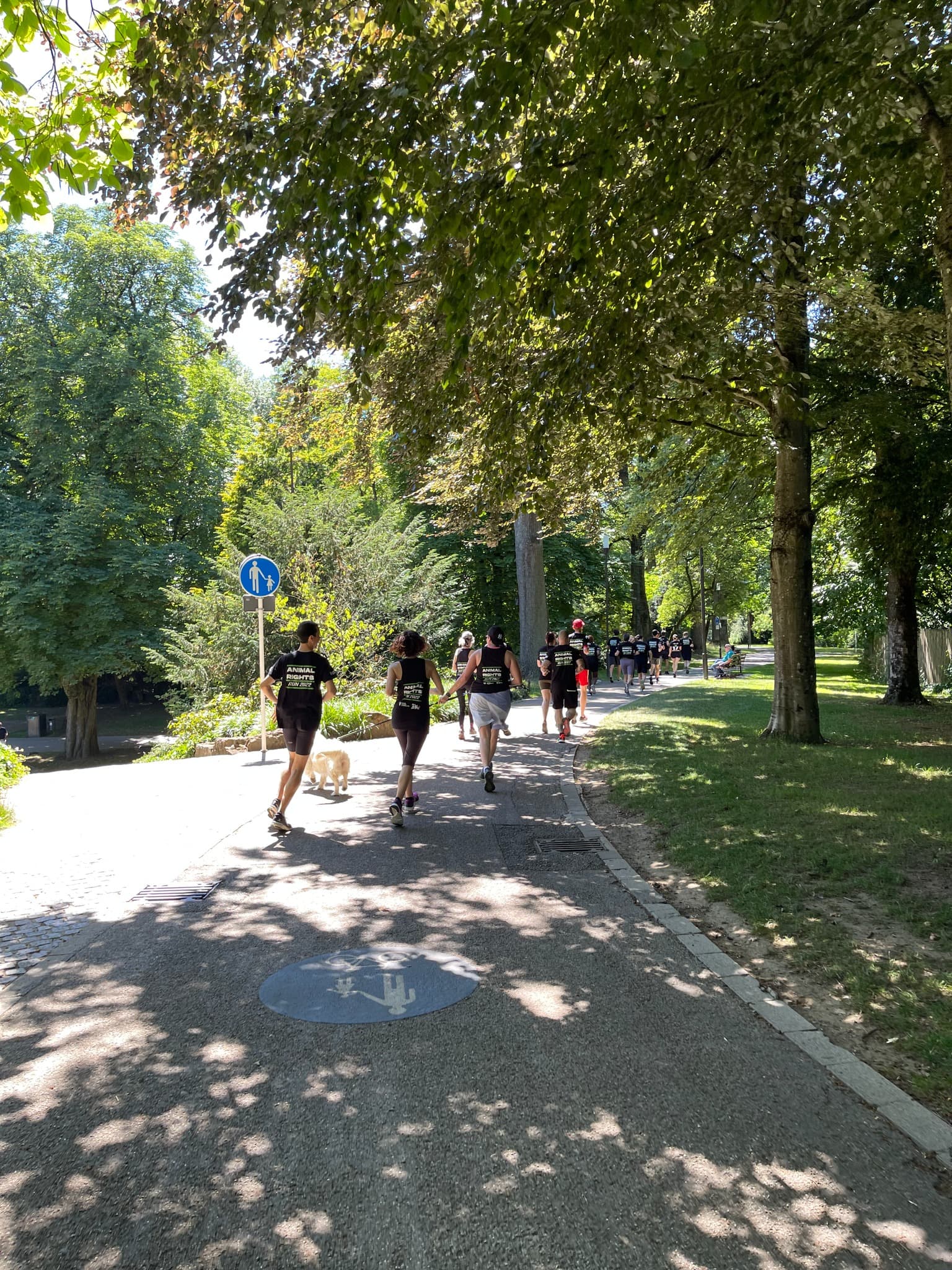 Elle Run Luxembourg - image