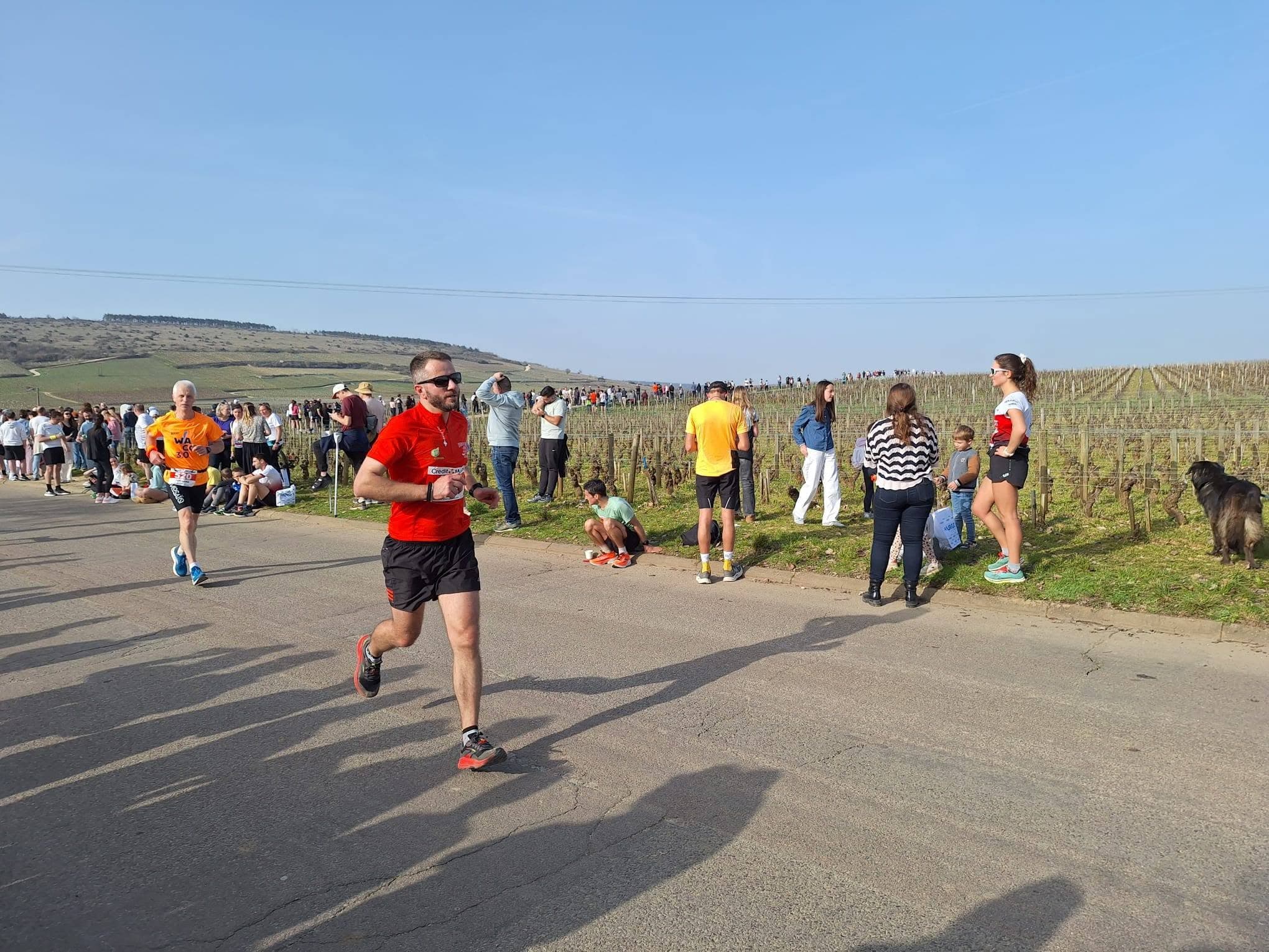 Courir de plaisir Genlis - image