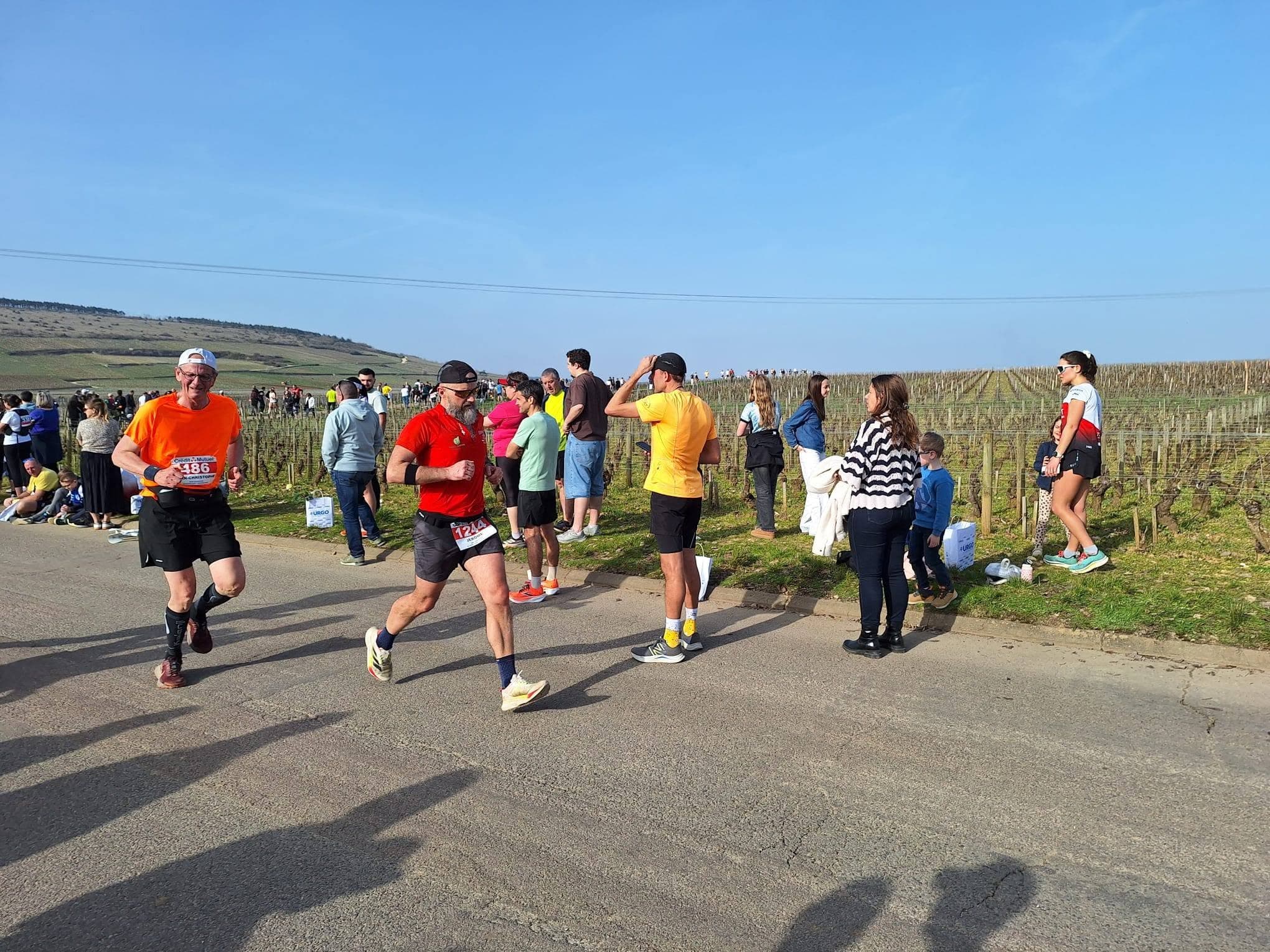 Courir de plaisir Genlis - image 5