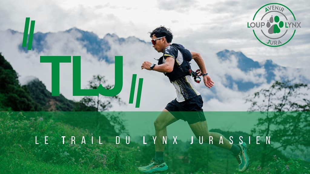 Trail du Lynx Jurassien - image
