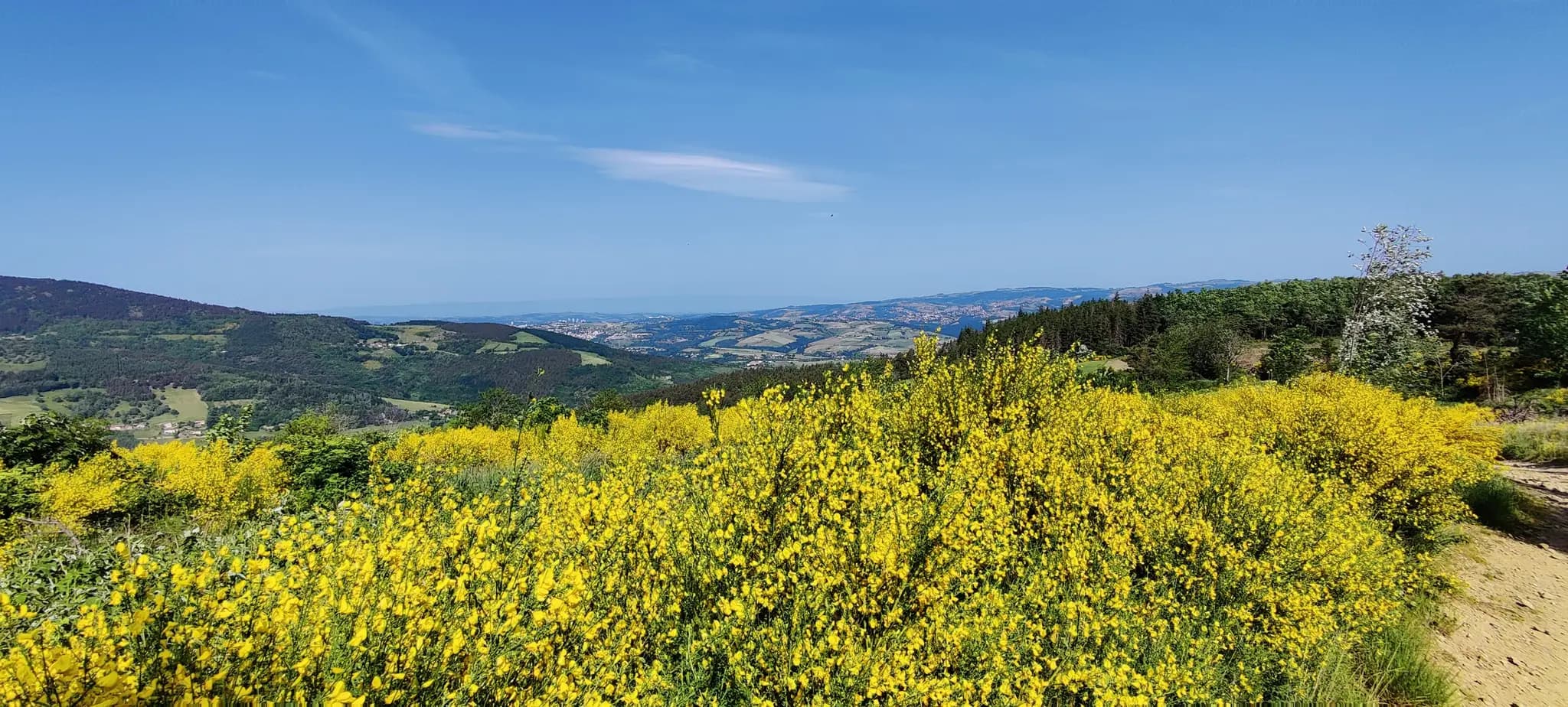 Zeoff - Massif du pilat - image