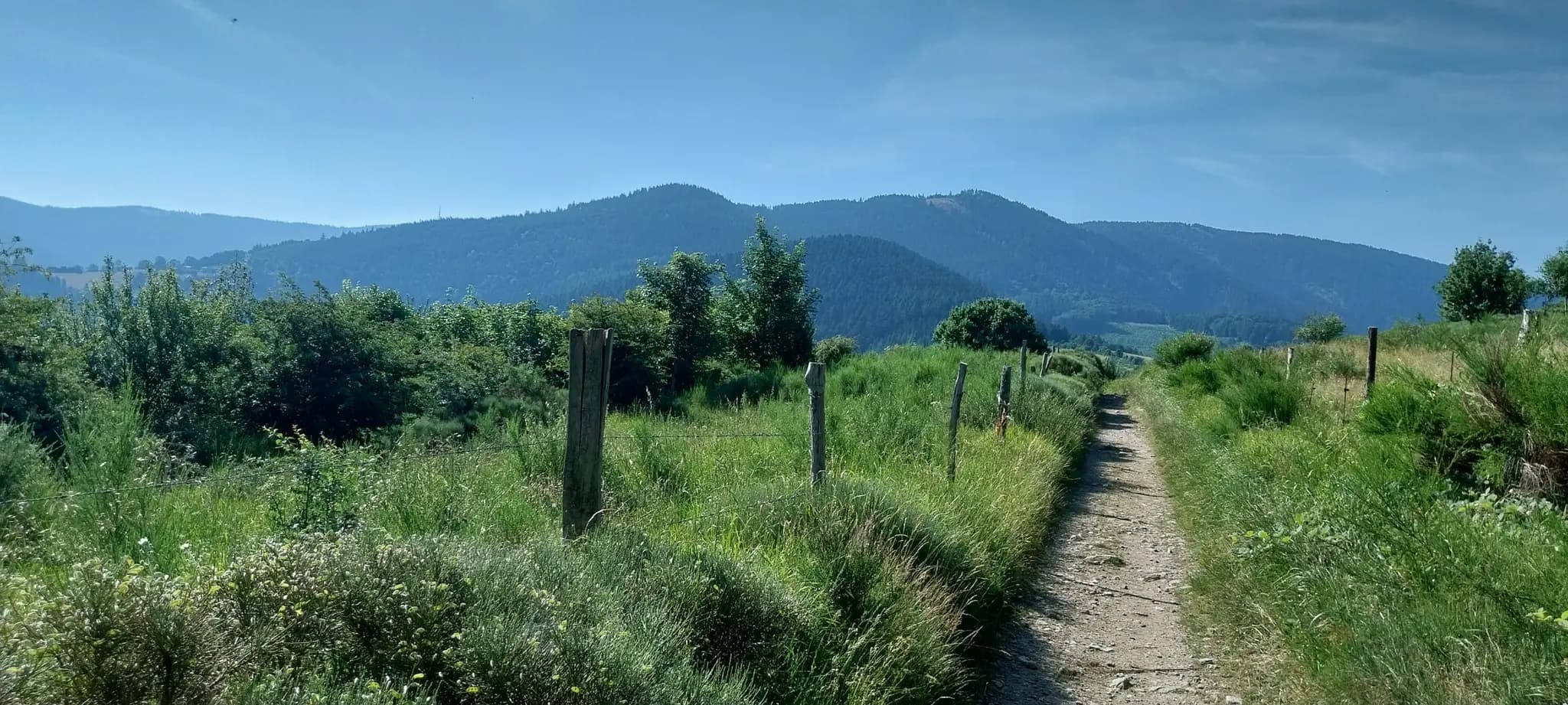 Zeoff - Massif du pilat - image