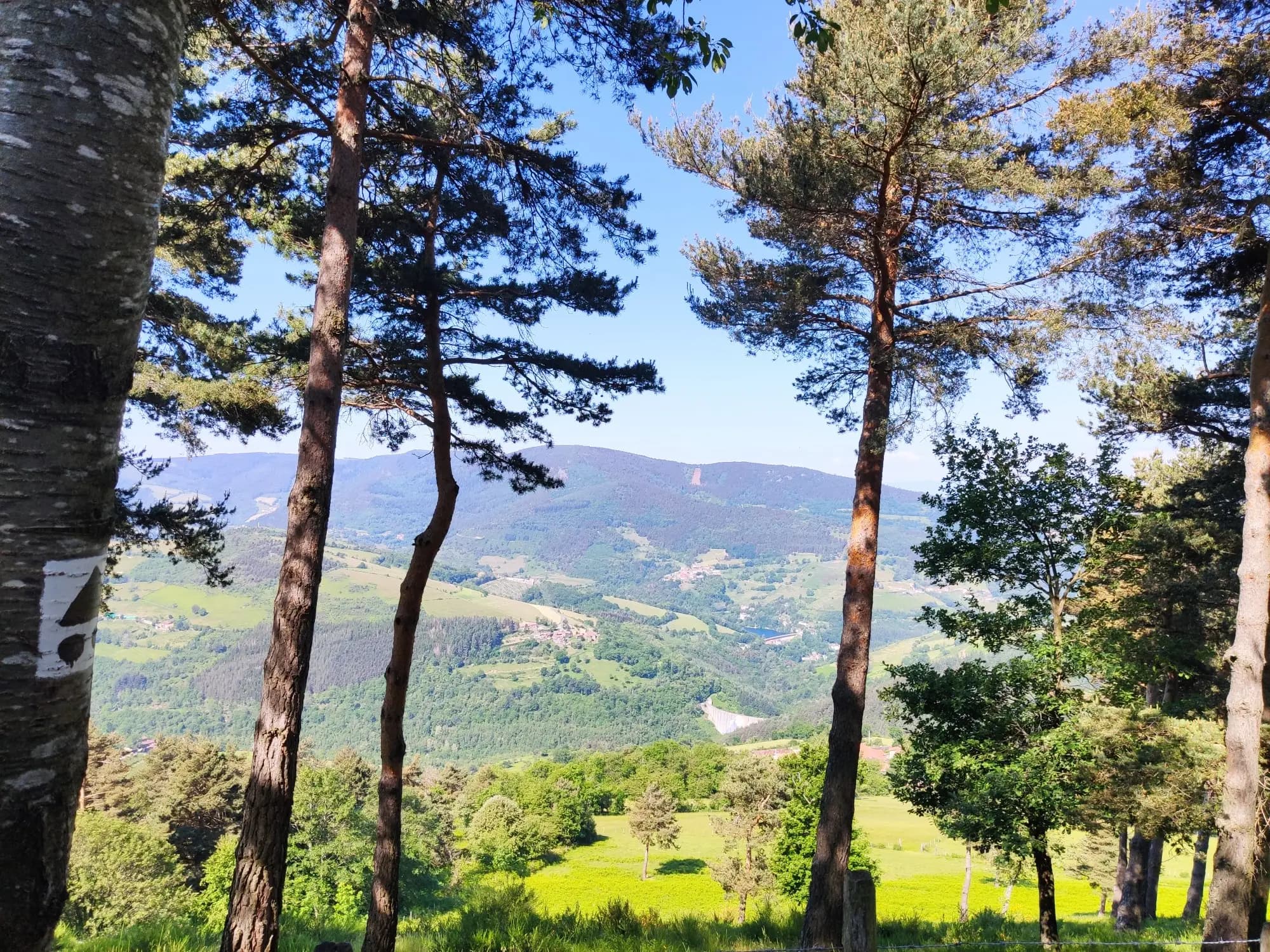 Zeoff - Massif du pilat - image