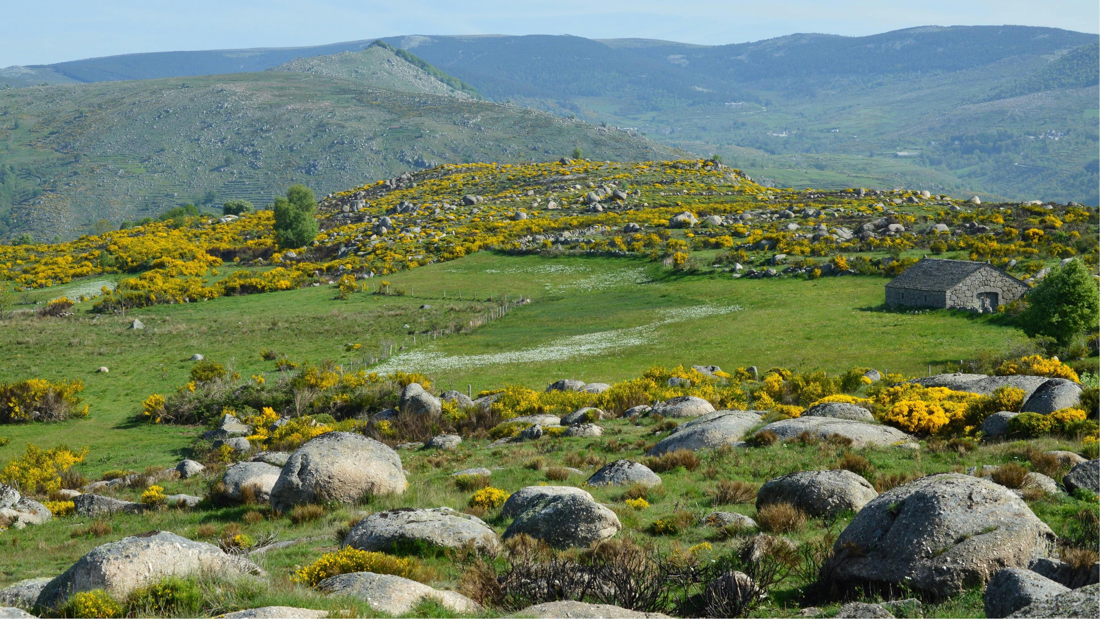 Zeoff - Cévennes - image
