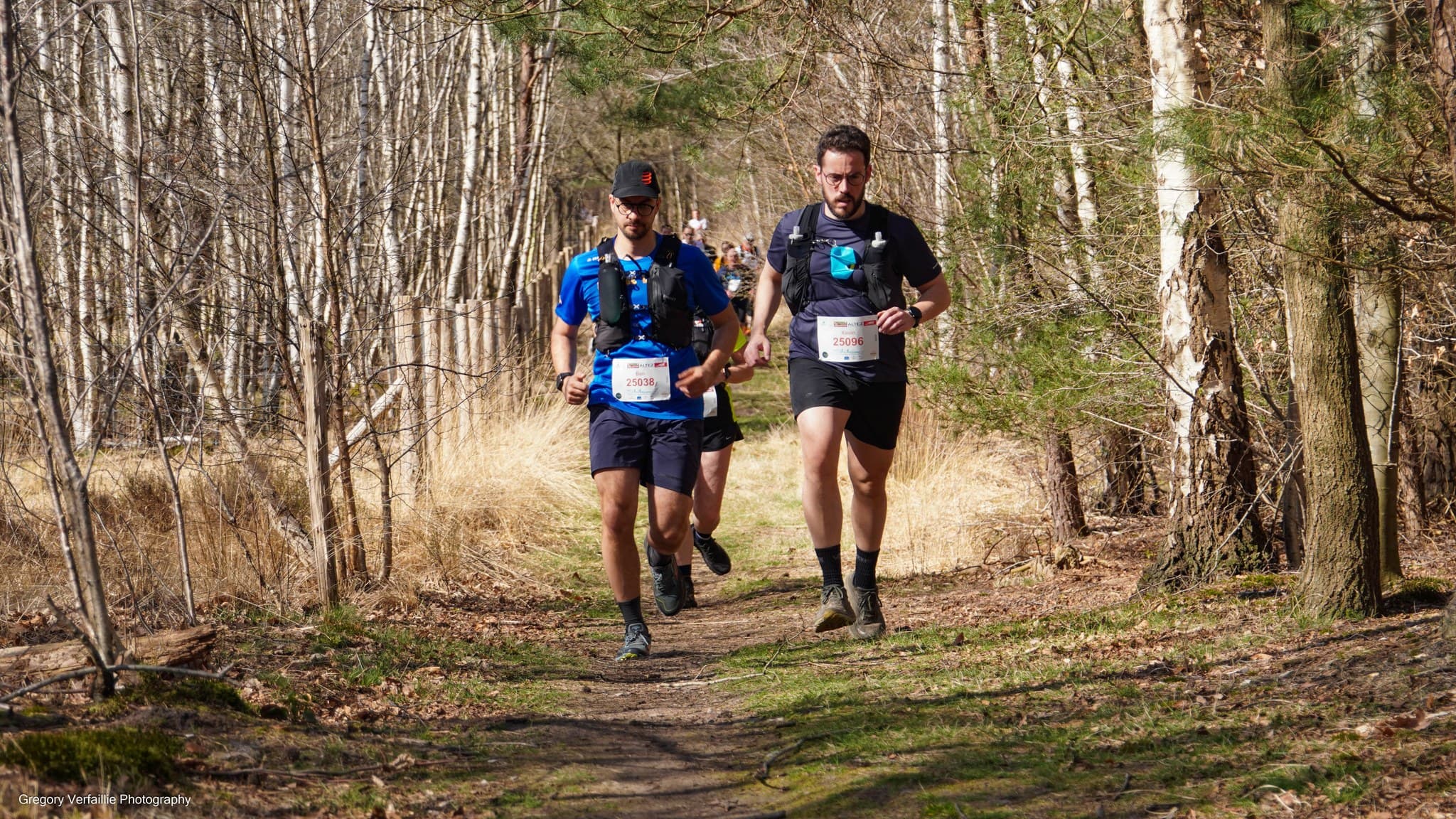 Natuurloop Beernem - image