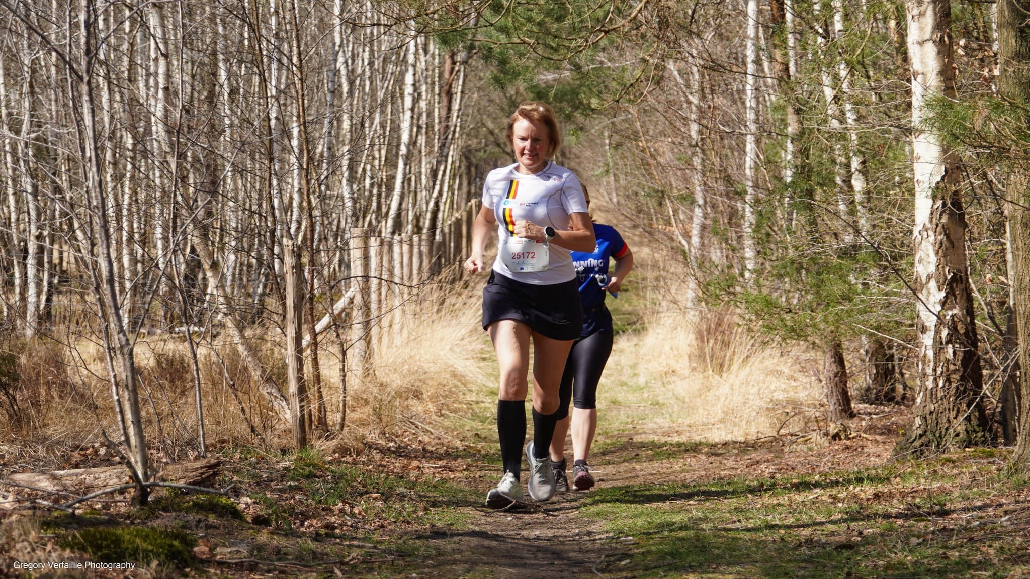 Natuurloop Beernem - image