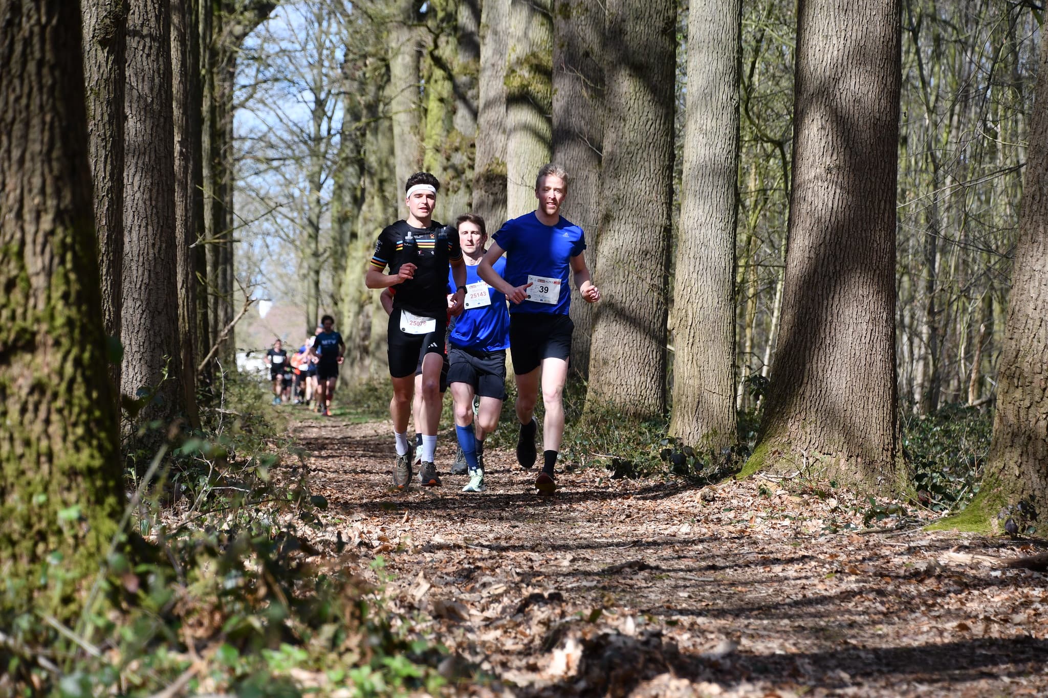 Natuurloop Beernem - image